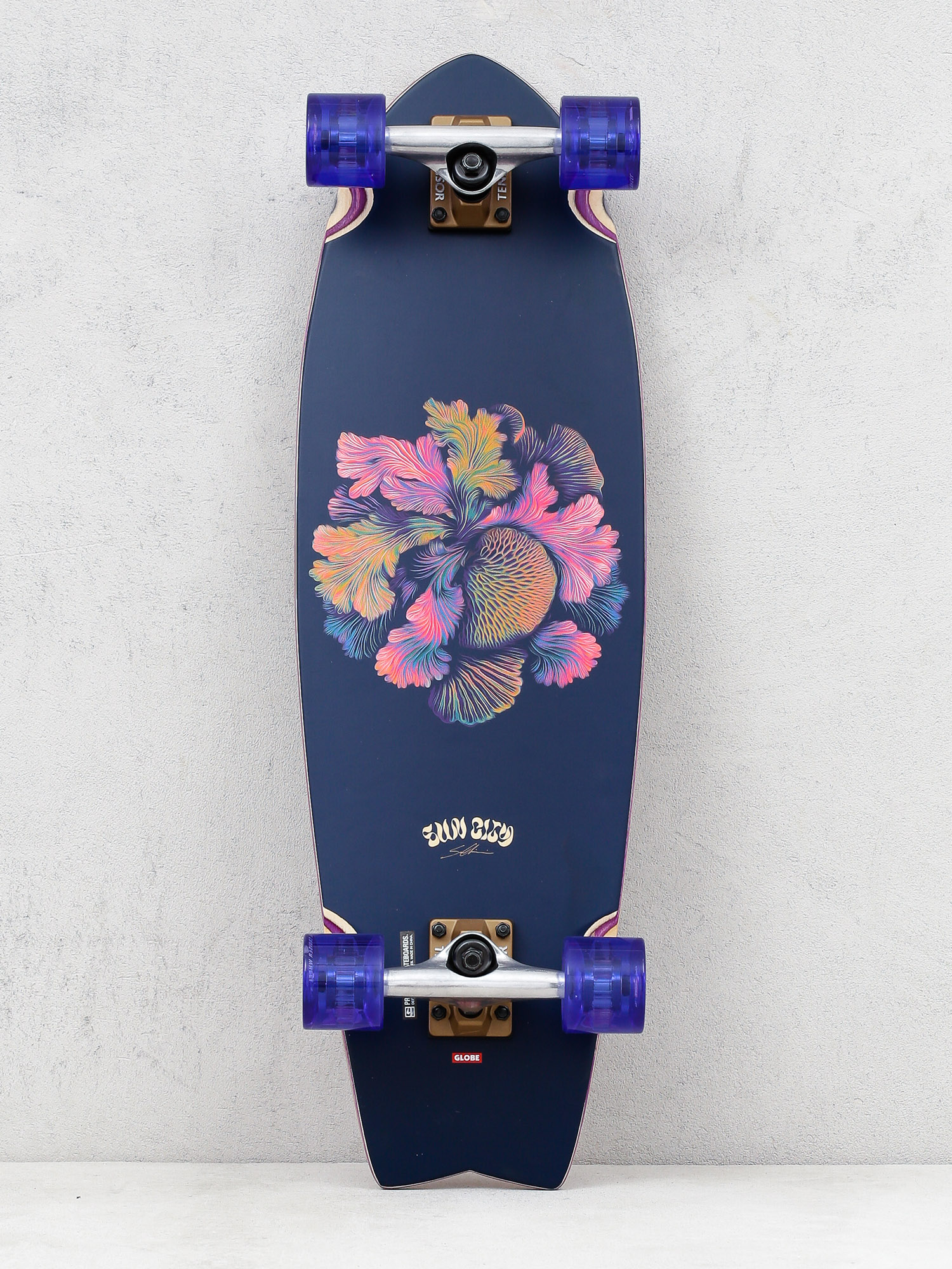 Globe Cruiser Sun City