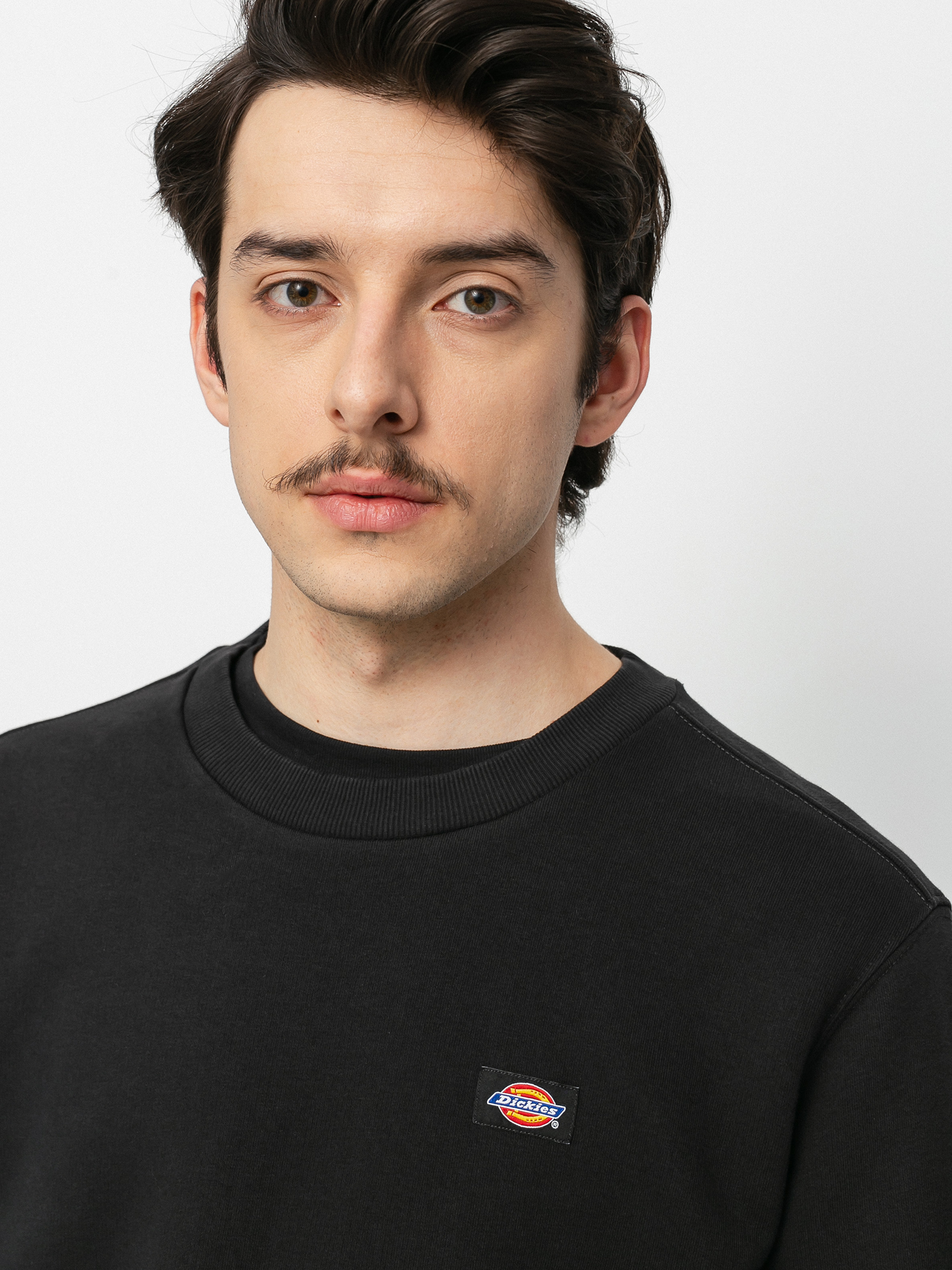 Hanorac Dickies Oakport (black)