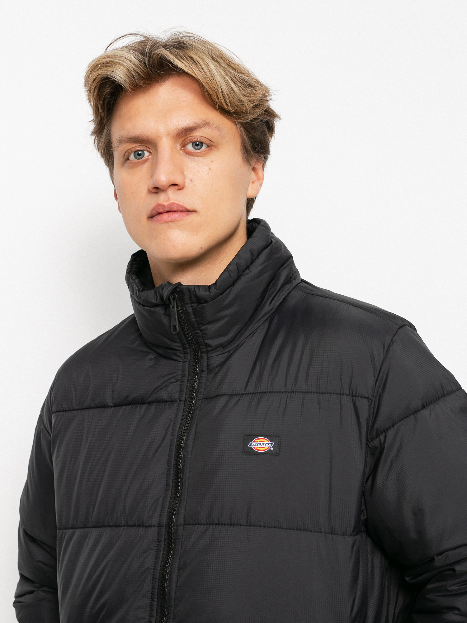 Geacă Dickies Waldenburg (black)
