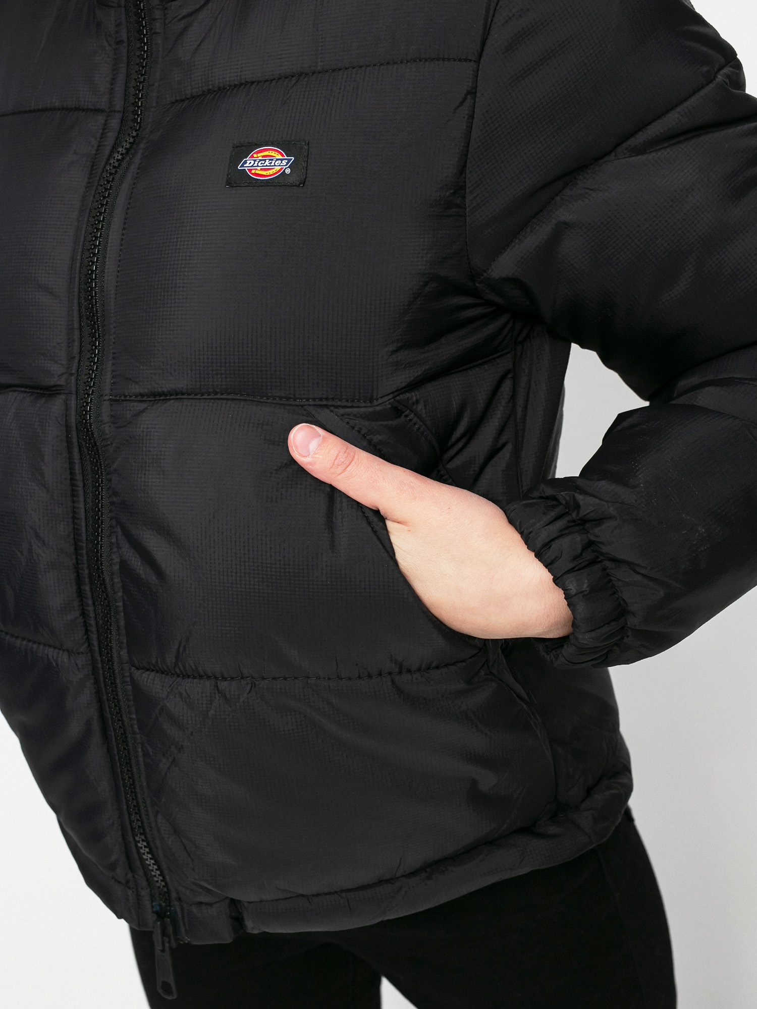Geacă Dickies Alatna Wmn (black)