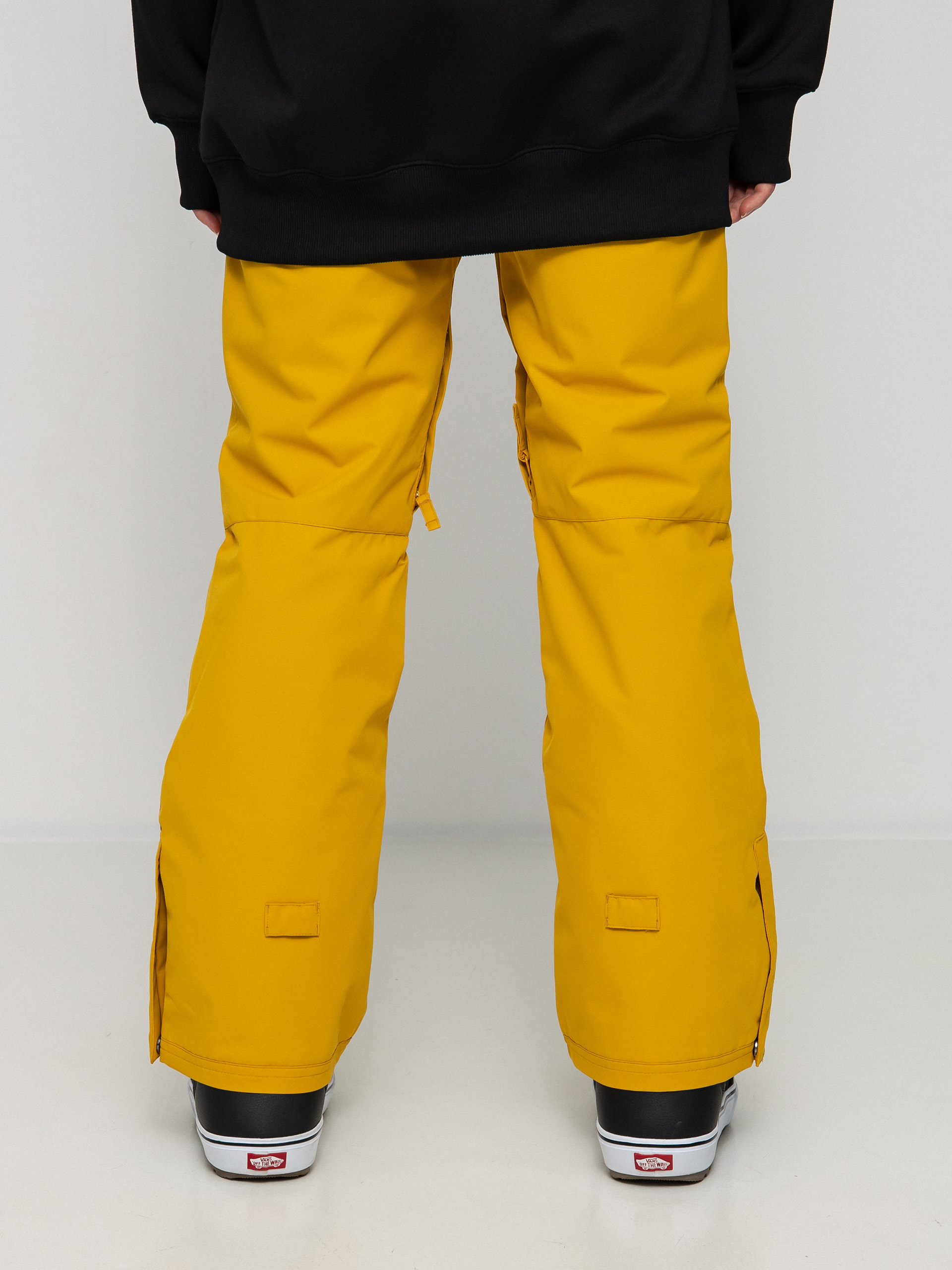 Pentru femei Pantaloni pentru snowboard Roxy Backyard (honey)