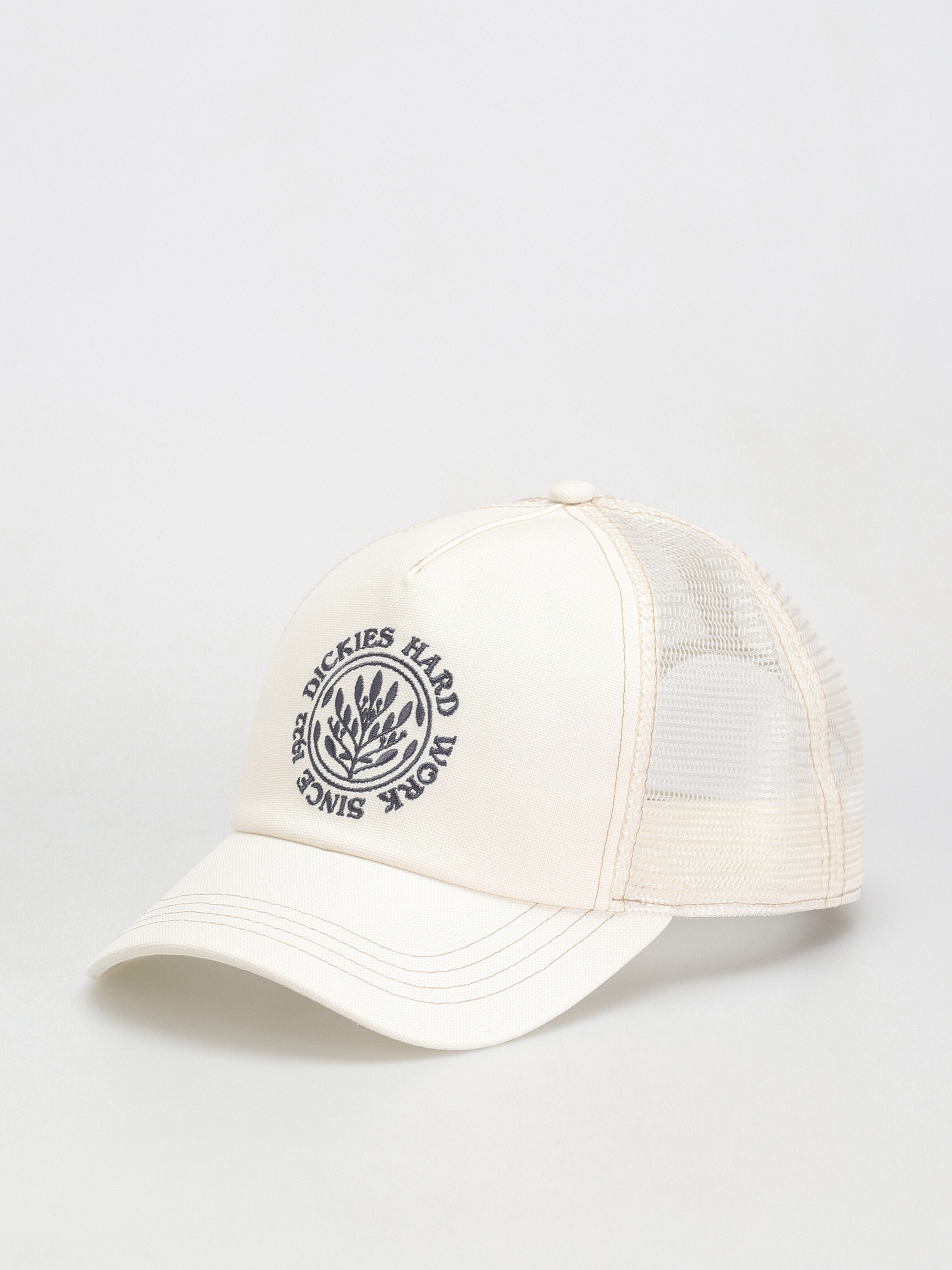 Șapcă Dickies Beavertown (cloud)