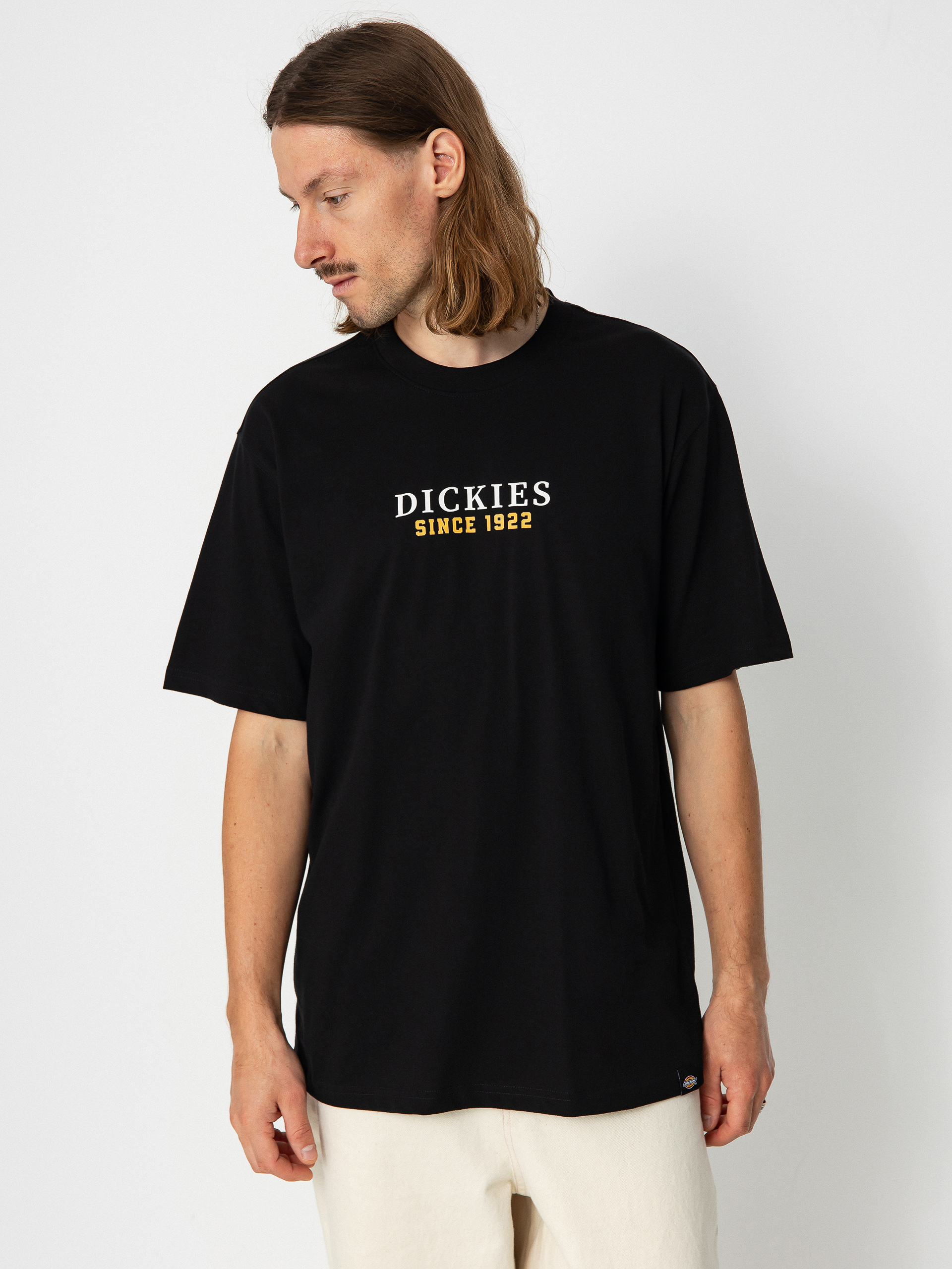 Tricou Dickies Park (black)
