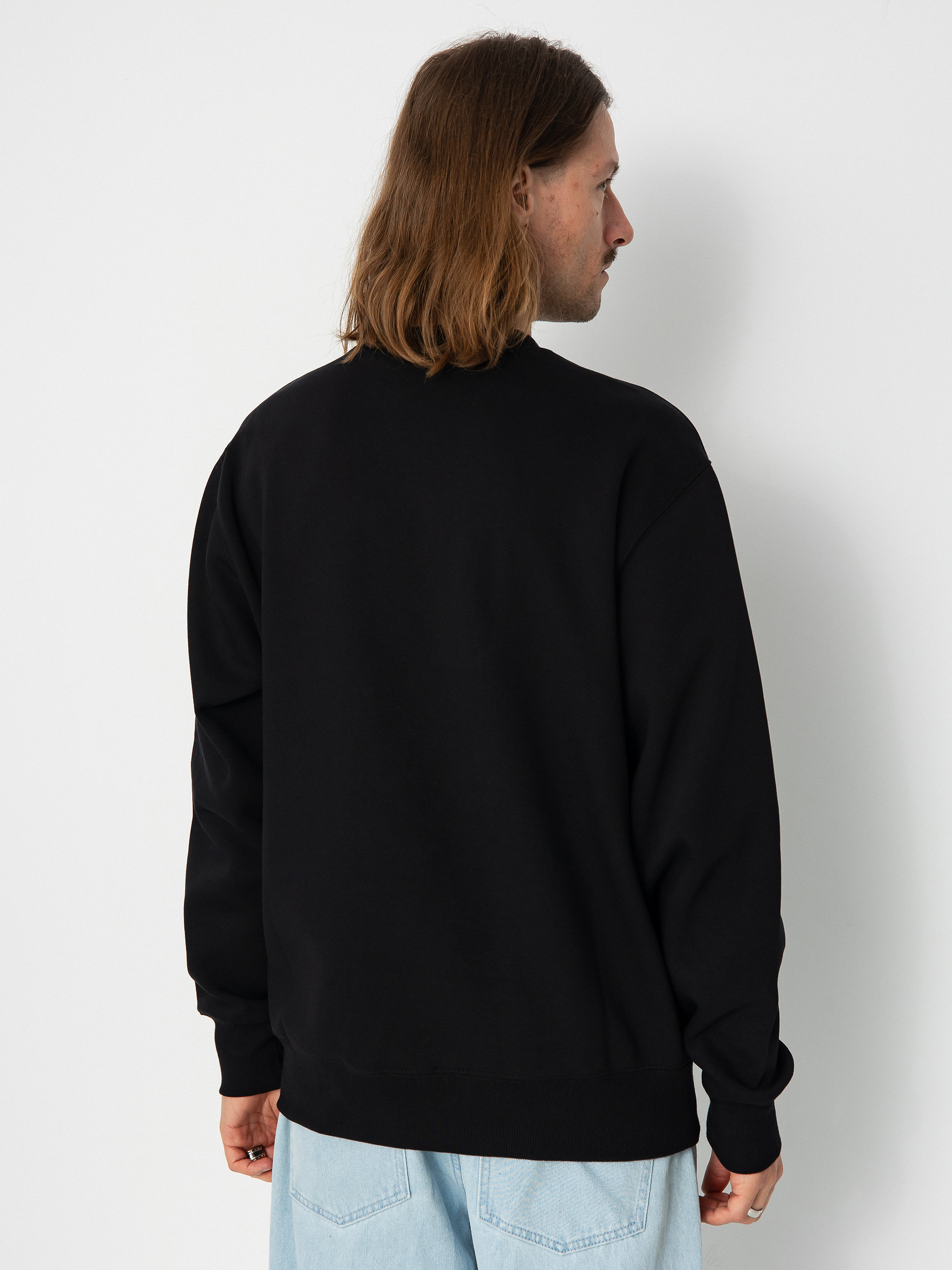 Hanorac Dickies Park (black)