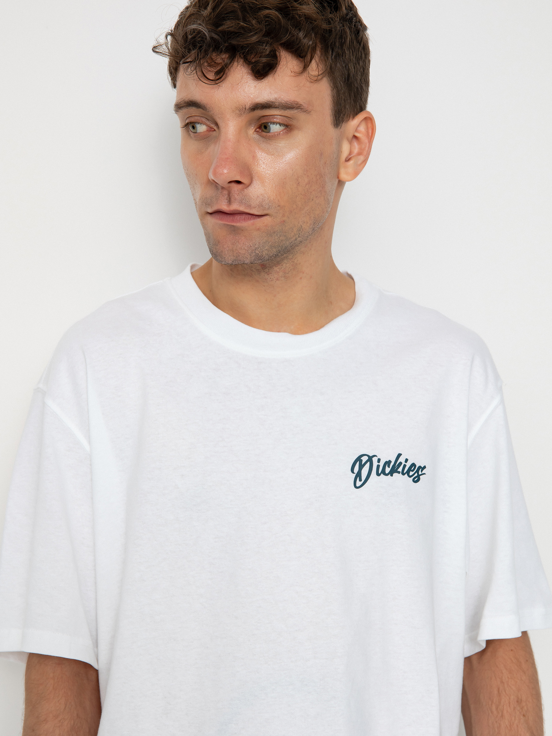 Tricou Dickies Dighton (white)