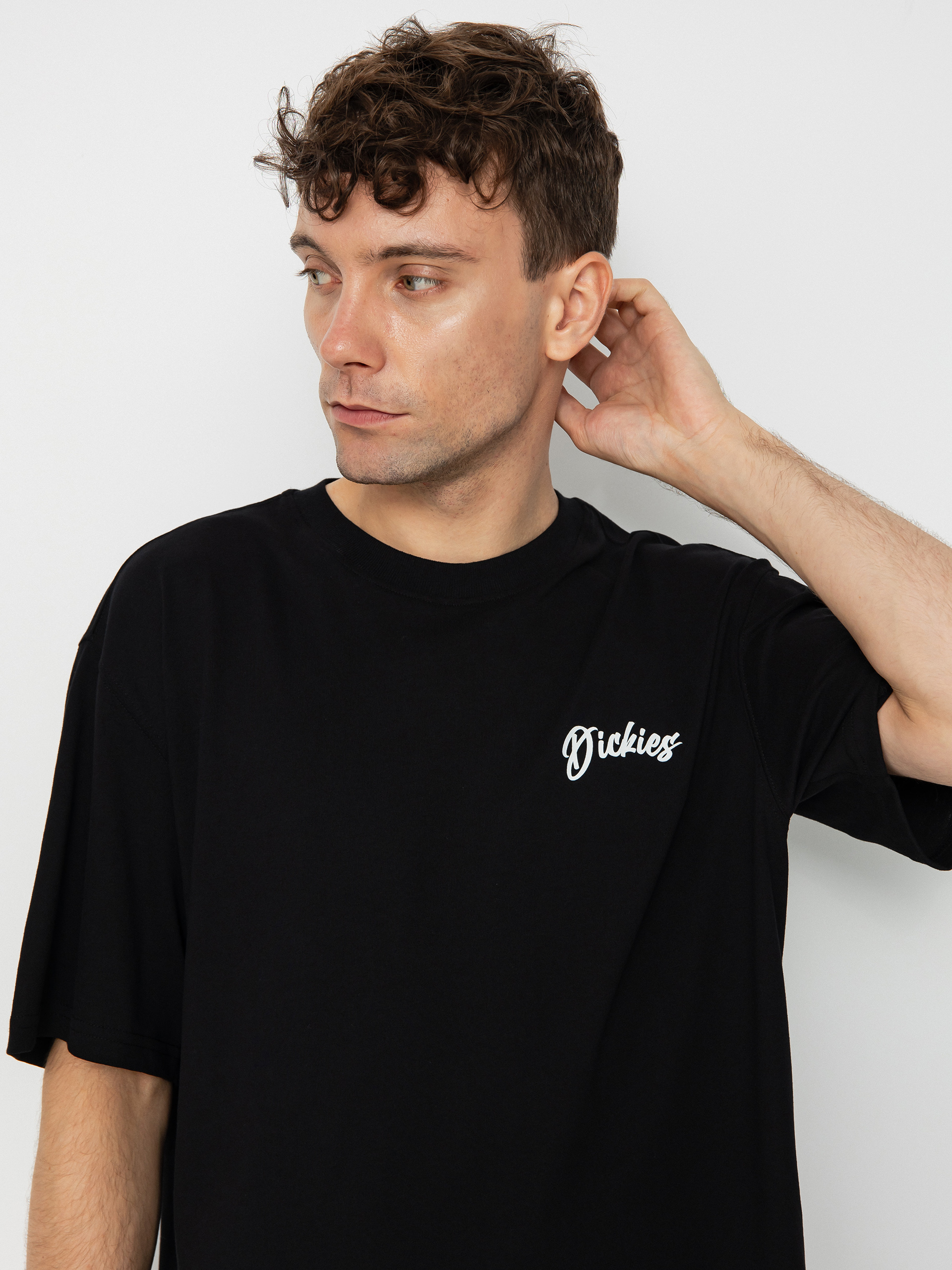 Tricou Dickies Dighton (black)