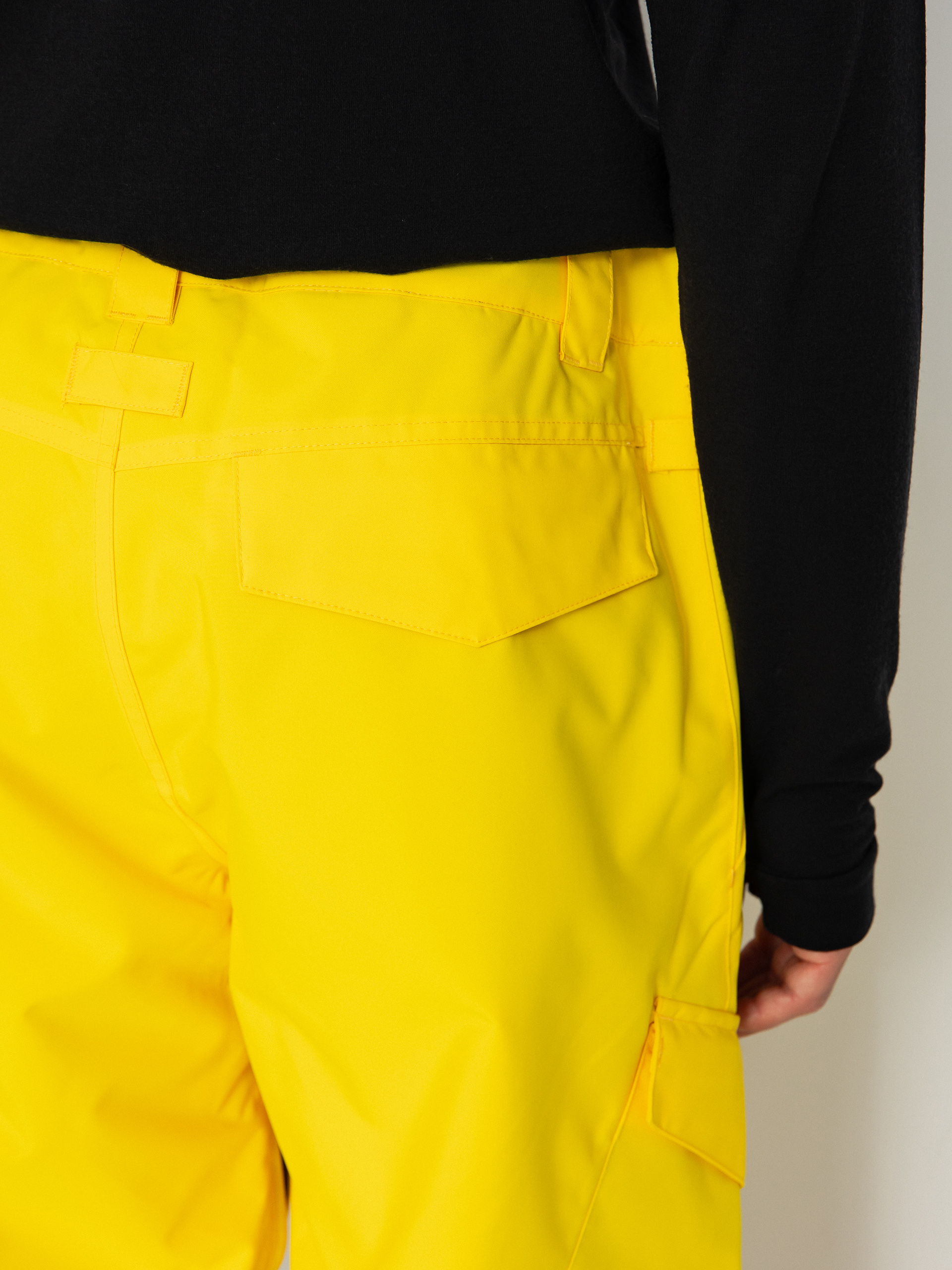 Pentru bărbați Pantaloni pentru snowboard DC Banshee (dandelion)