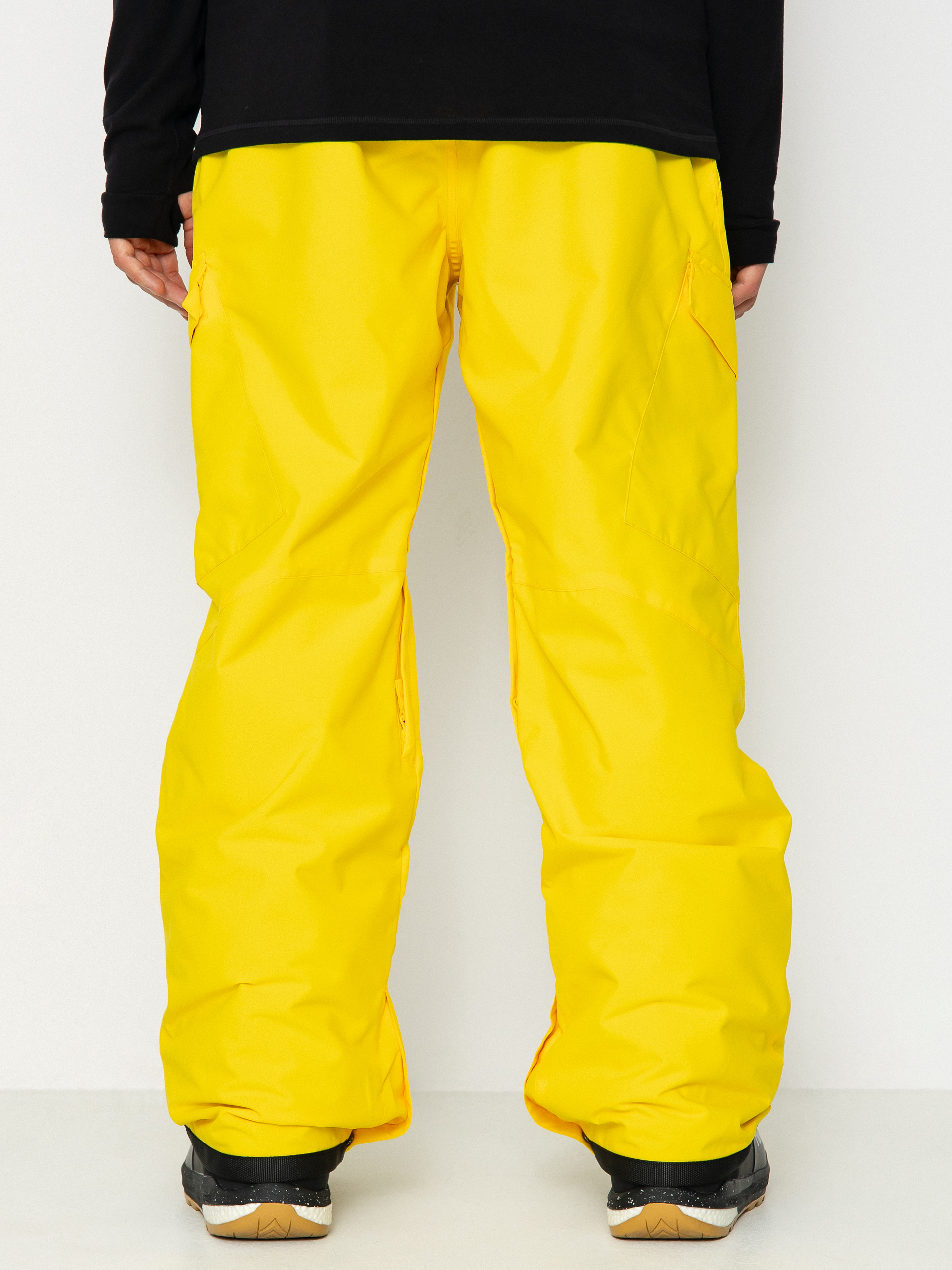 Pentru bărbați Pantaloni pentru snowboard DC Banshee (dandelion)