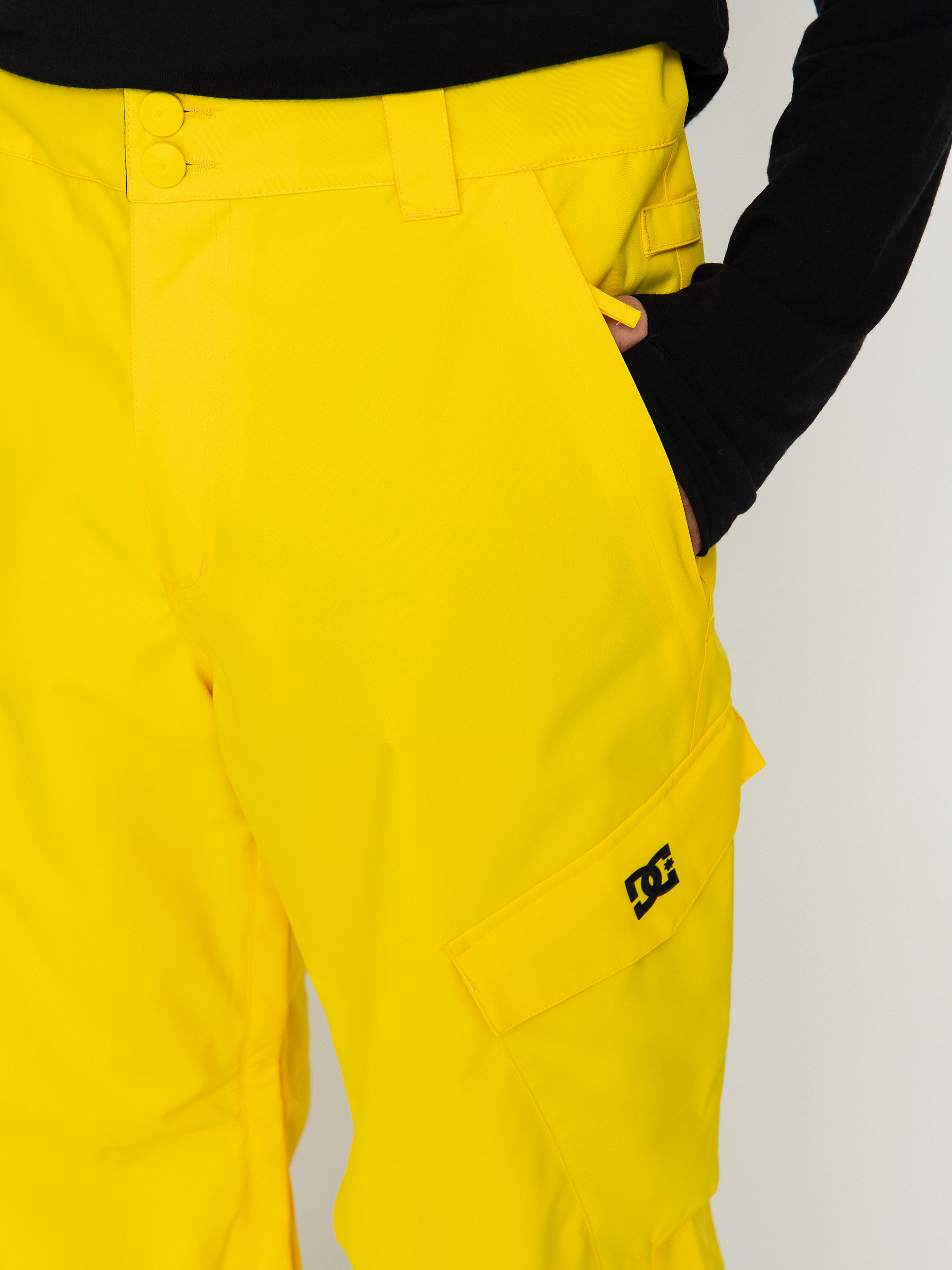 Pentru bărbați Pantaloni pentru snowboard DC Banshee (dandelion)