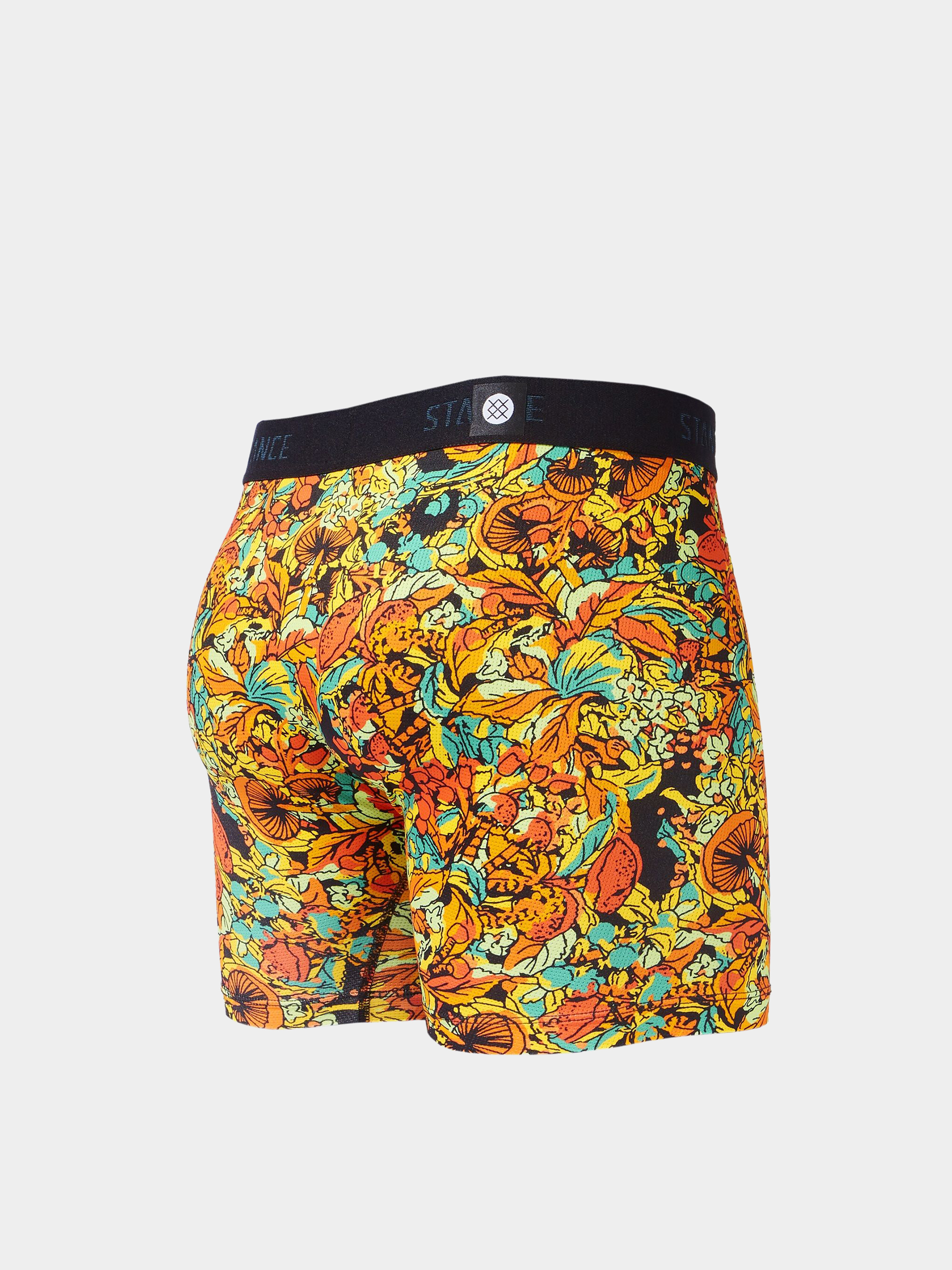 Lenjerie de corp Stance Whipple Bottom Wholester (orange)