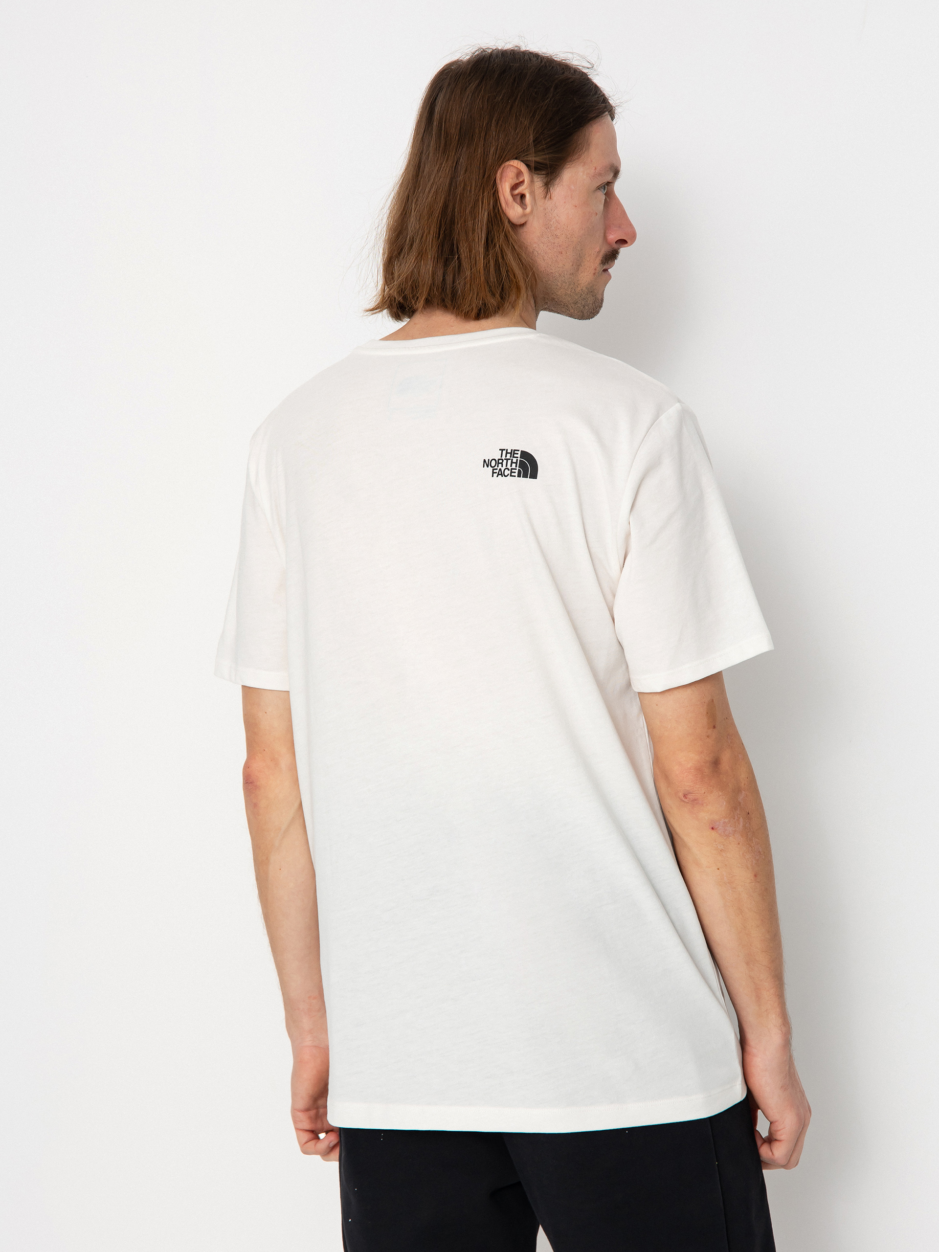 Tricou The North Face Foundation Coordinates Graphic (gardniawt/gardniawt/tnfbk)