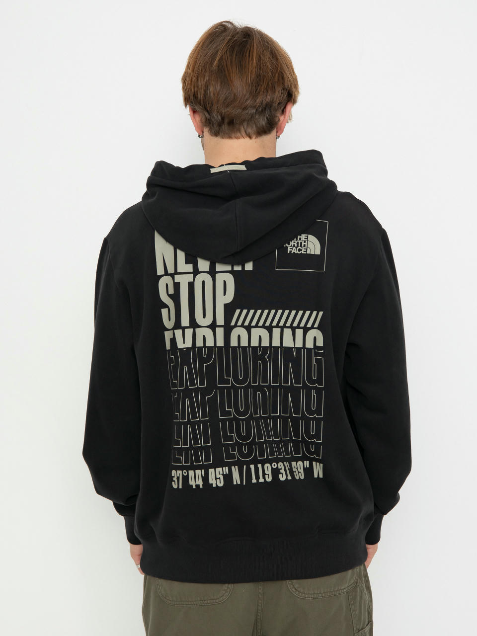 Hanorac cu glugă The North Face Coordinates HD (tnf black)