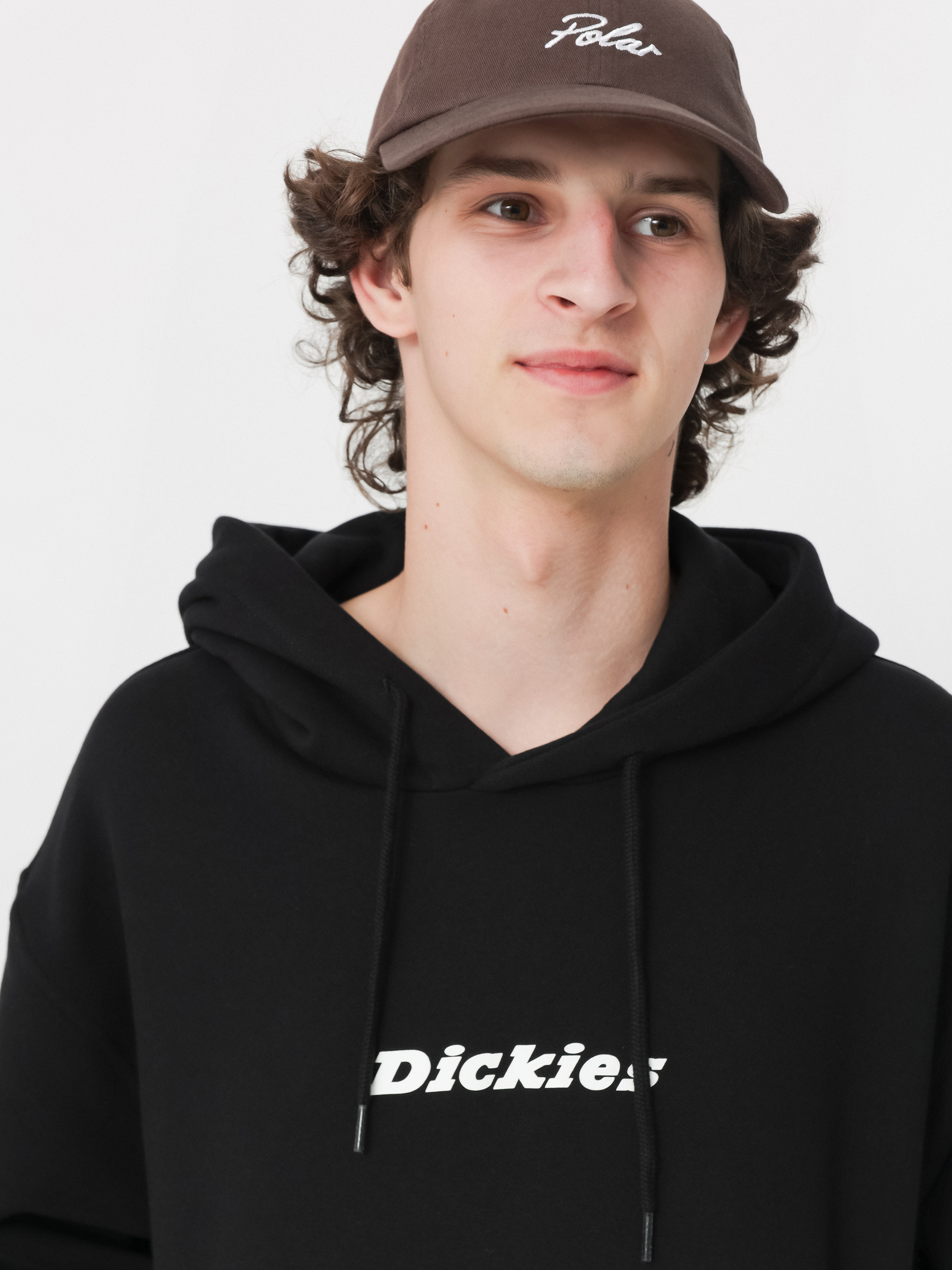 Hanorac cu glugă Dickies Enterprise HD (black)