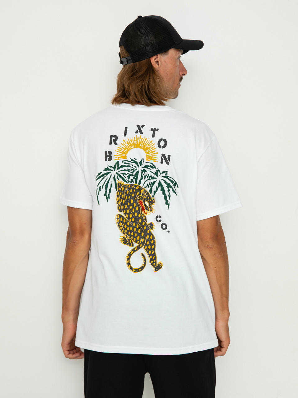 Tricou Brixton Seeks Stt (white)