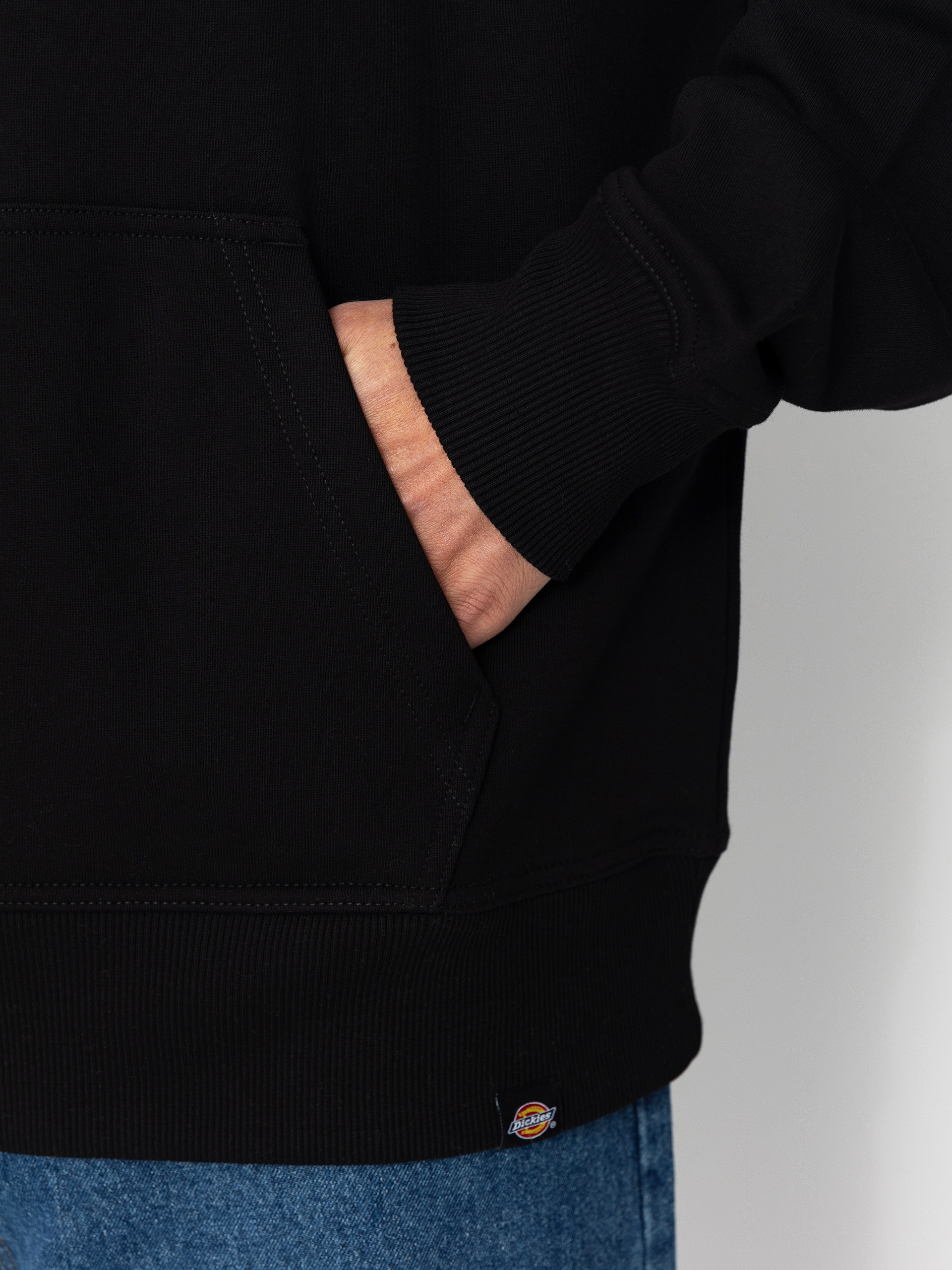 Hanorac cu glugă Dickies Globe HD (black)