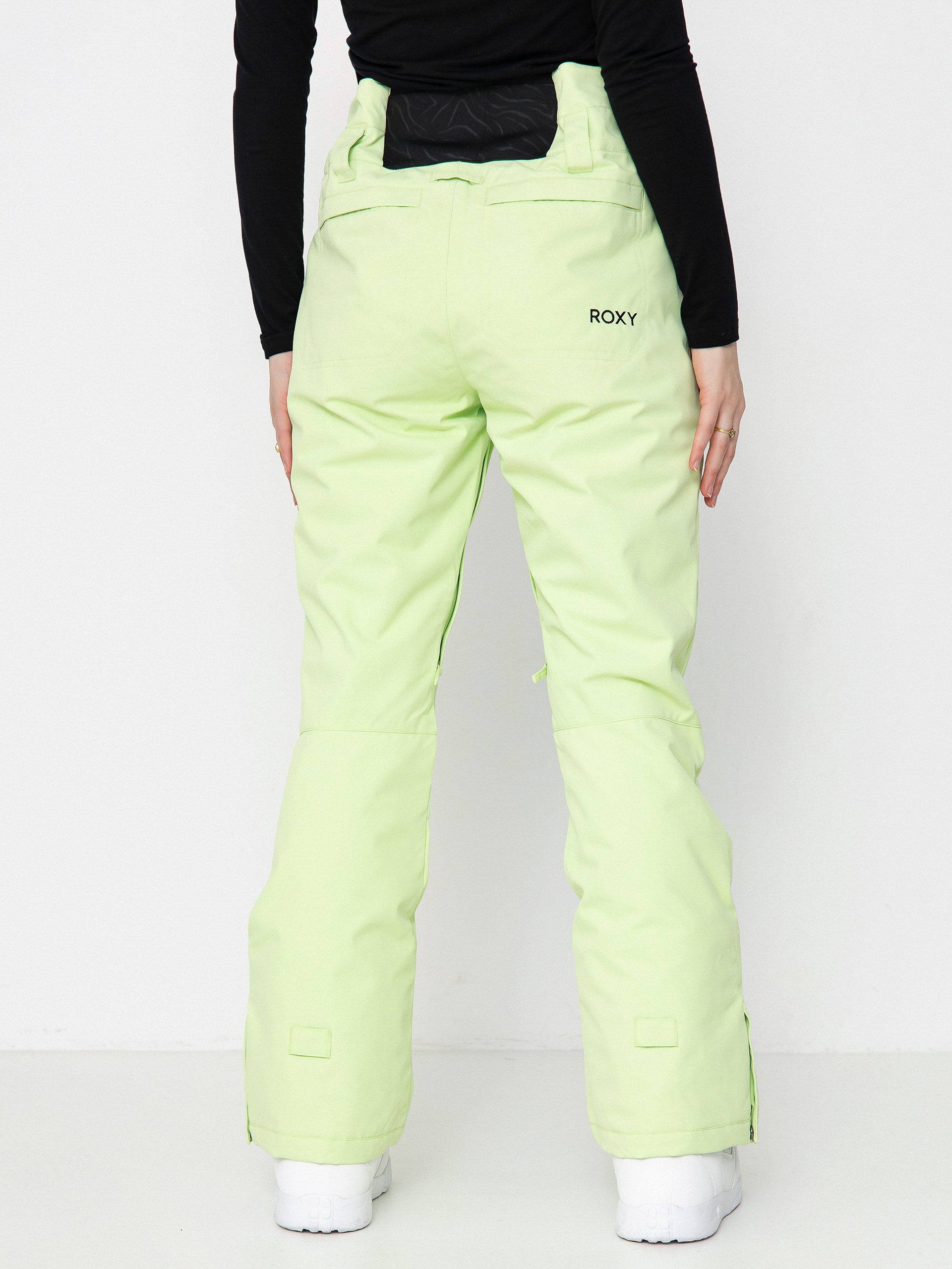 Pentru femei Pantaloni pentru snowboard Roxy Diversion (butterfly)