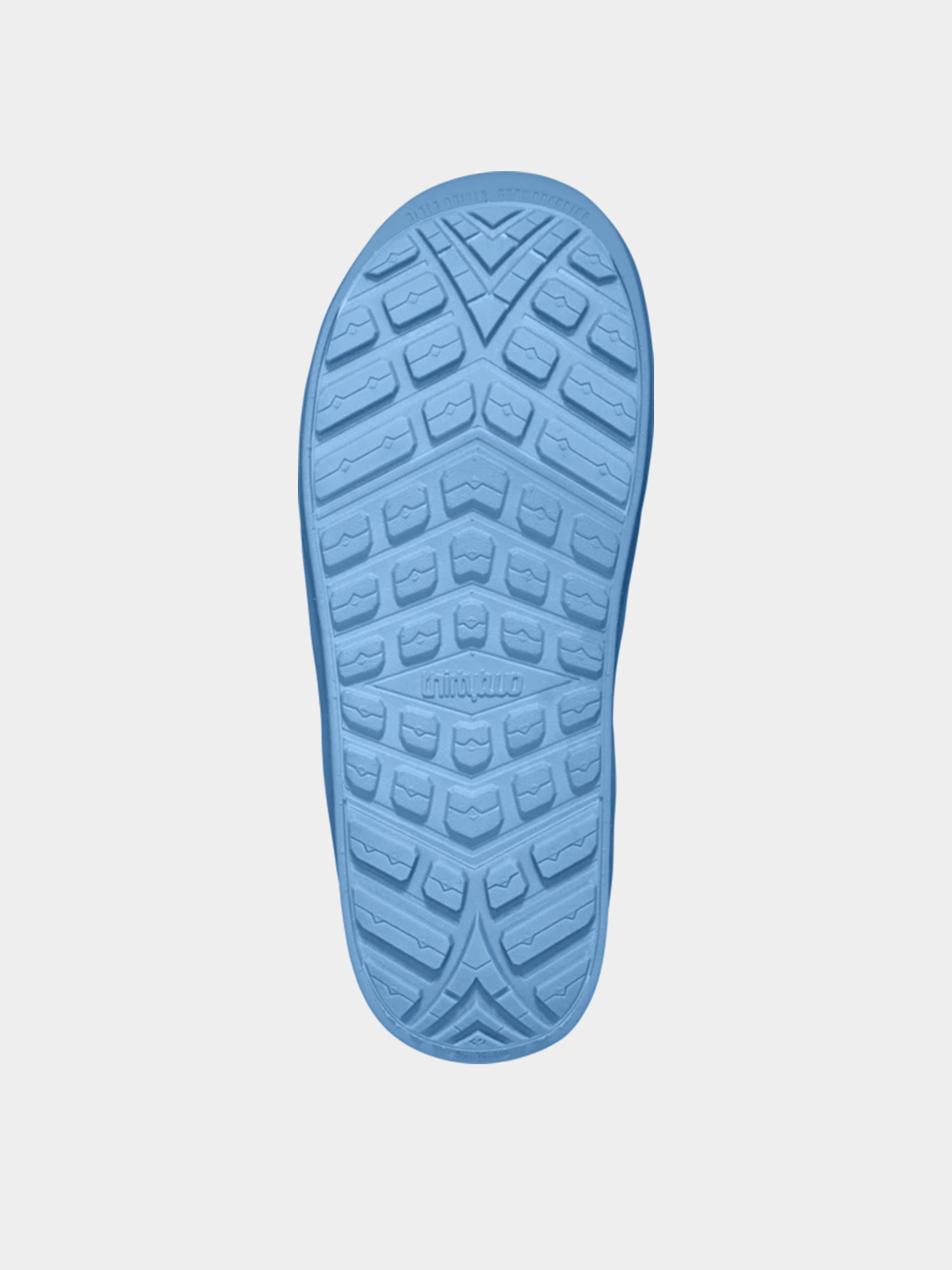 Pentru bărbați Încălțăminte pentru snowboard ThirtyTwo Lashed Double Boa Powell (white/blue)