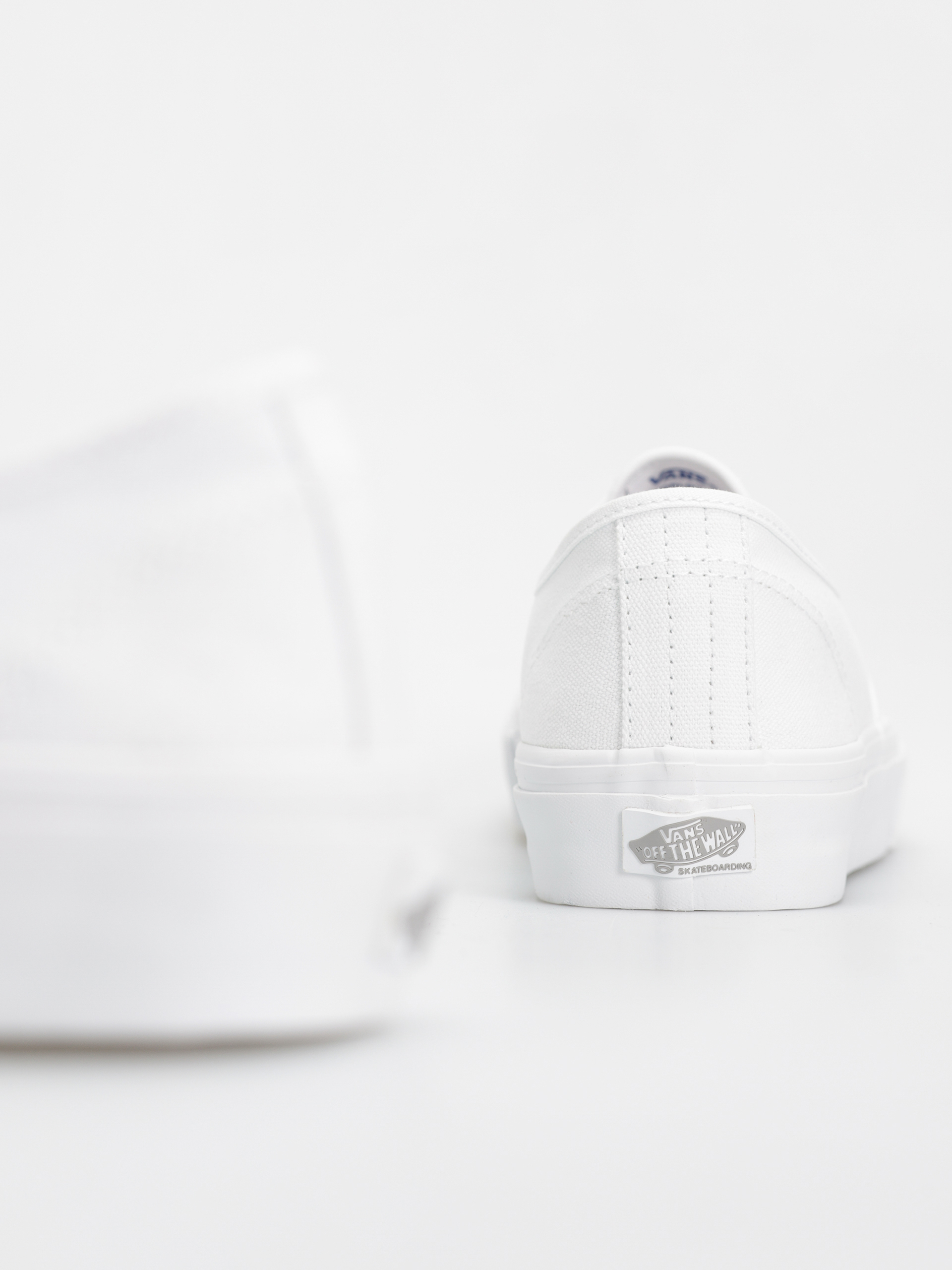 Pantofi Vans Skate Authentic (true white)