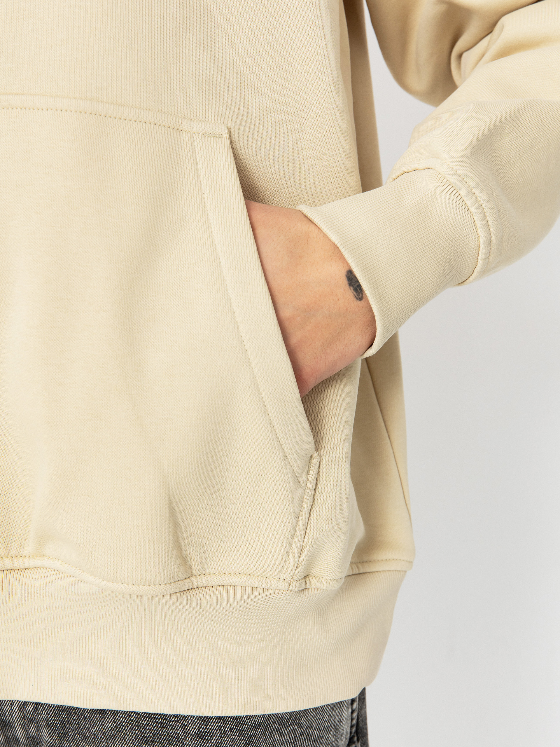 Hanorac cu glugă The North Face Raglan Box Nse HD (gravel/smokey brown)