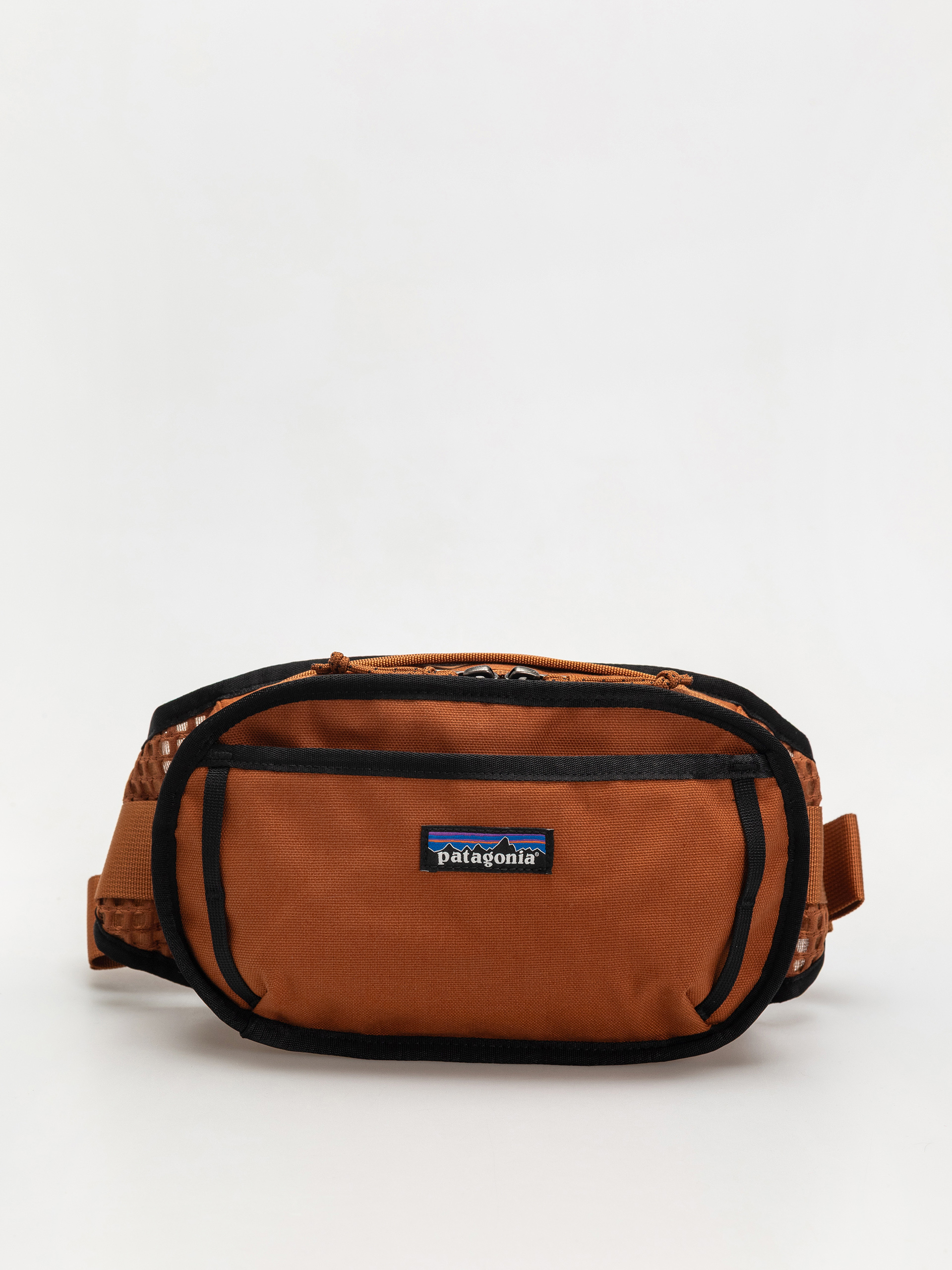 Borsetă de brâu Patagonia Fieldsmith (robin brown)