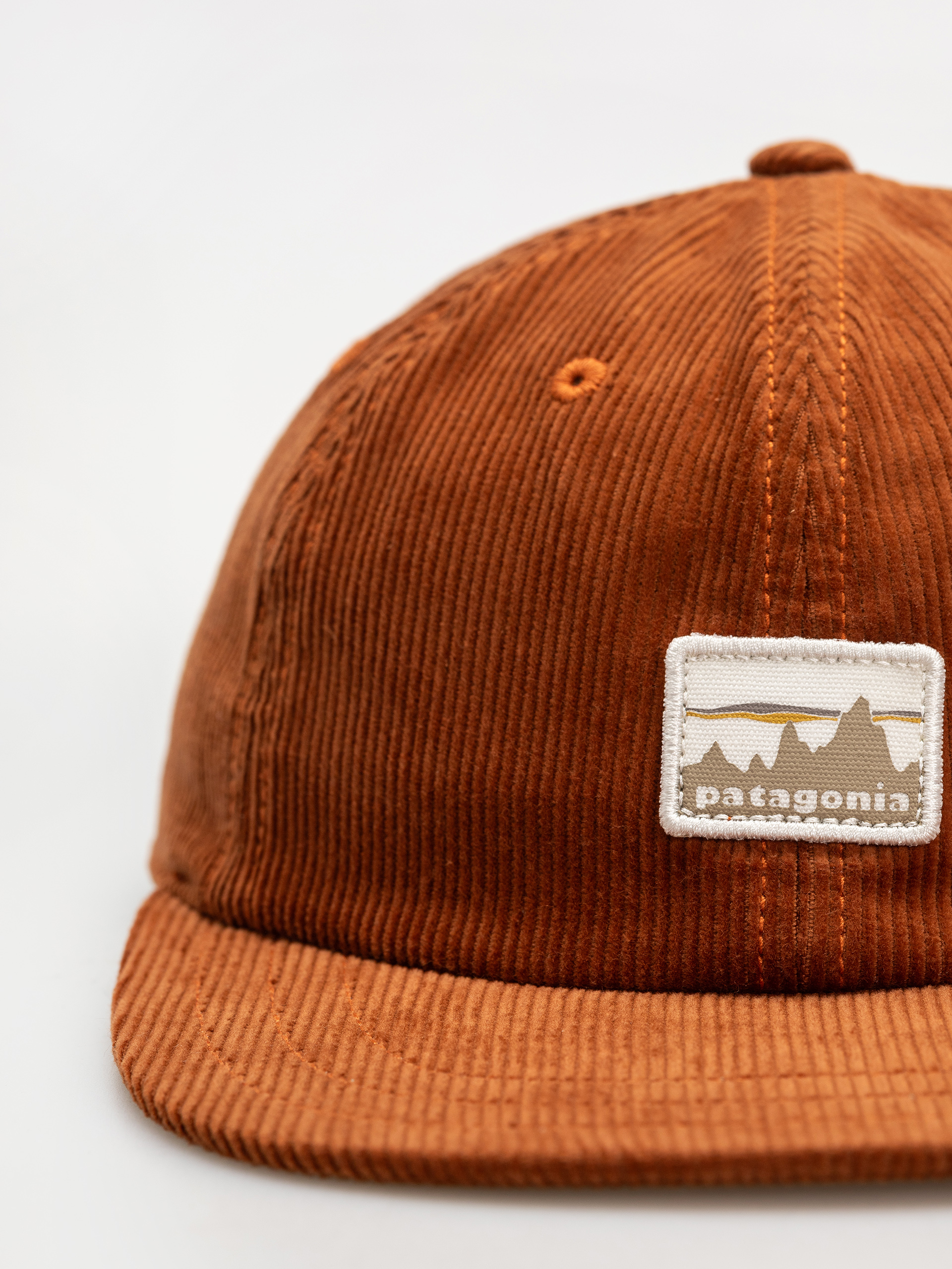 Șapcă Patagonia Corduroy (73 skyline/robin brown)