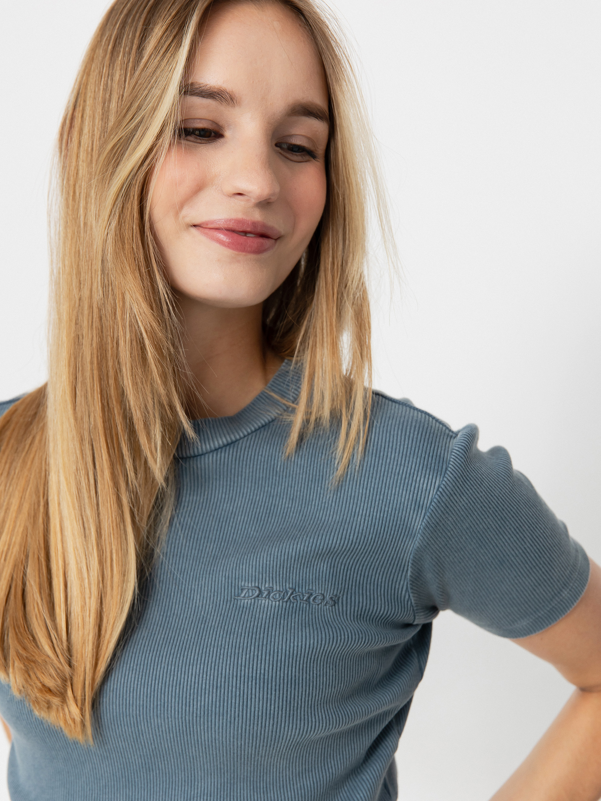 Tricou Dickies Plentywood Wmn (stormy weather)