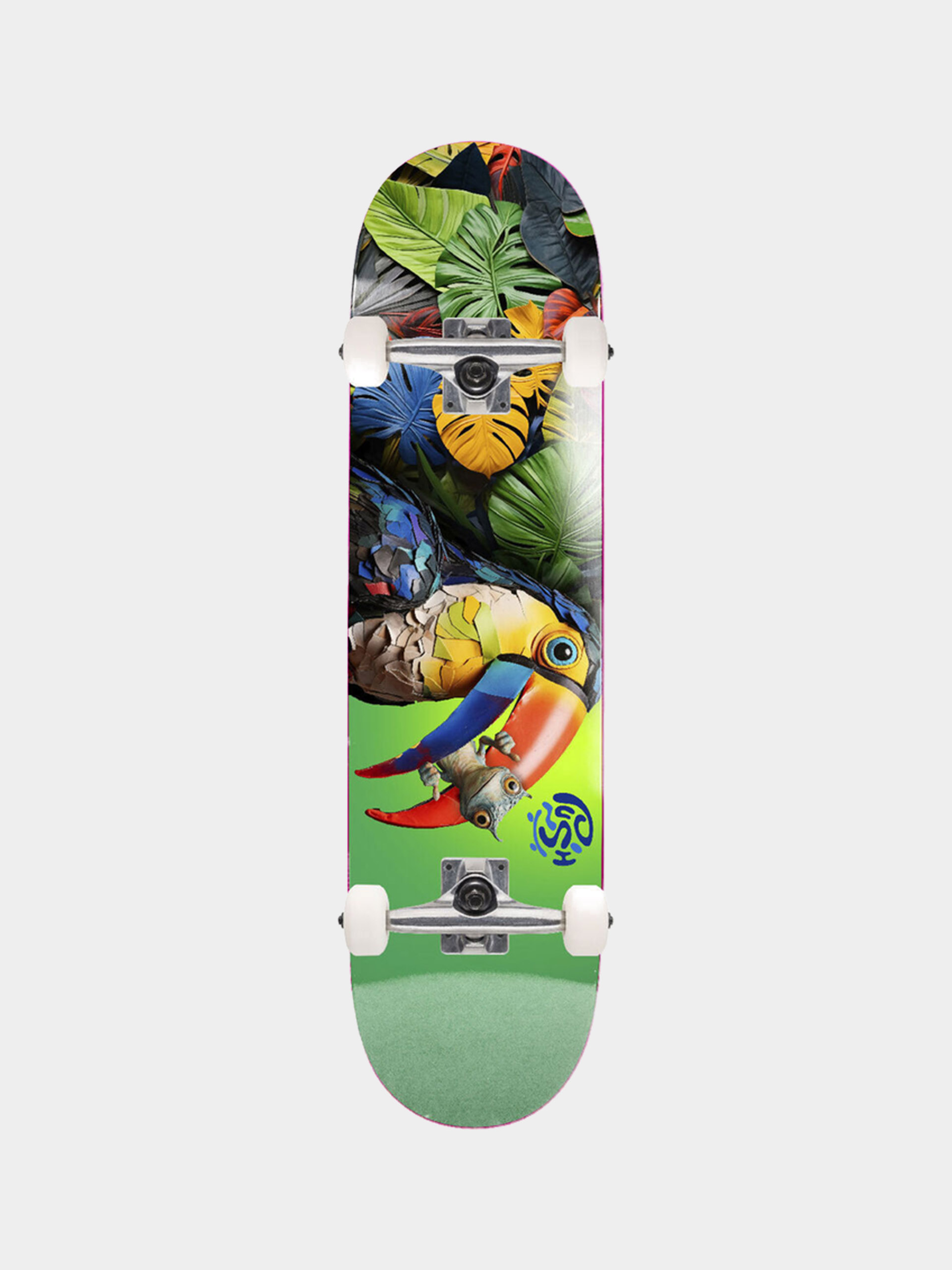 Skateboard Push Toucan