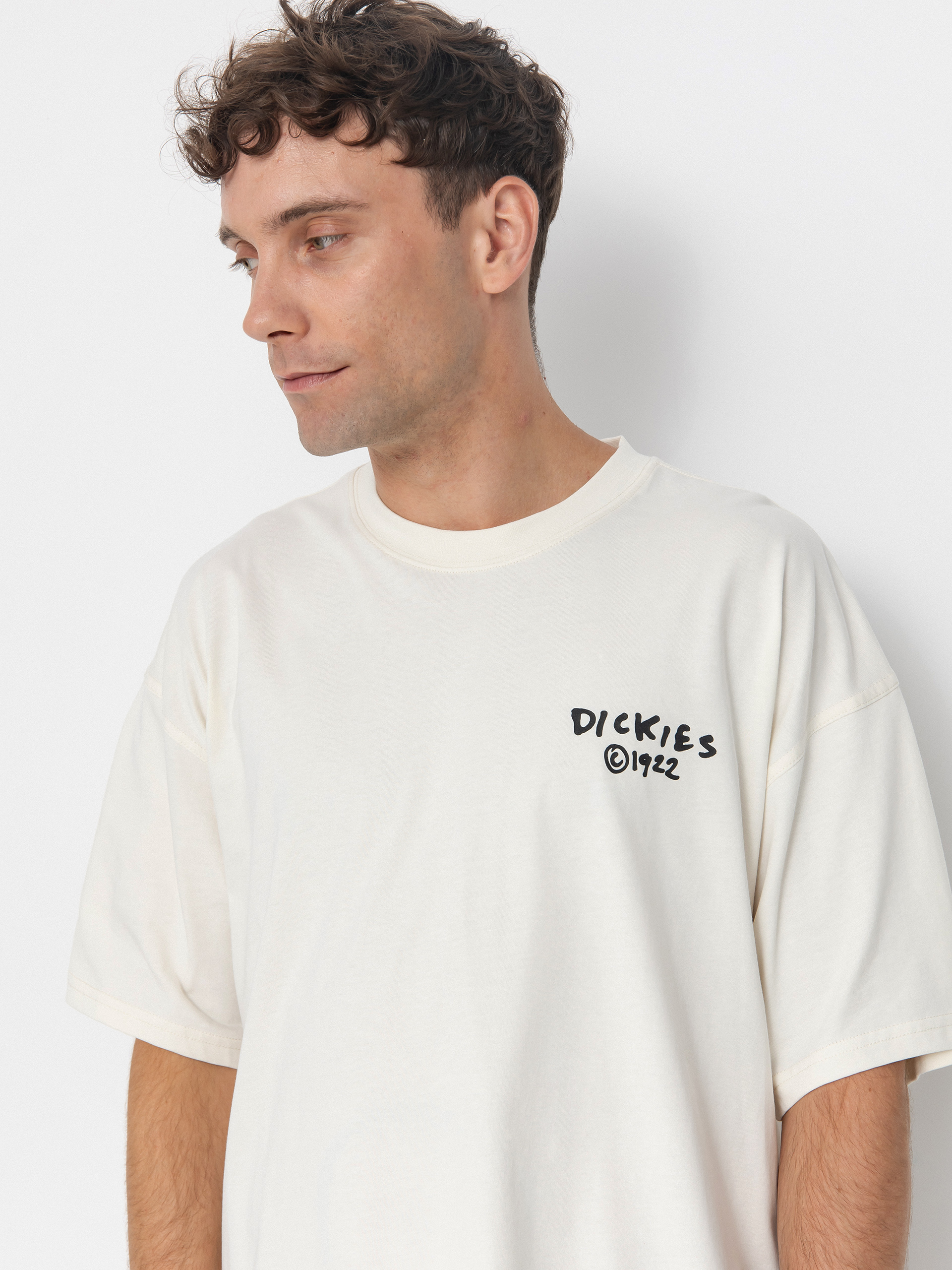 Tricou Dickies Sneedville (egret)