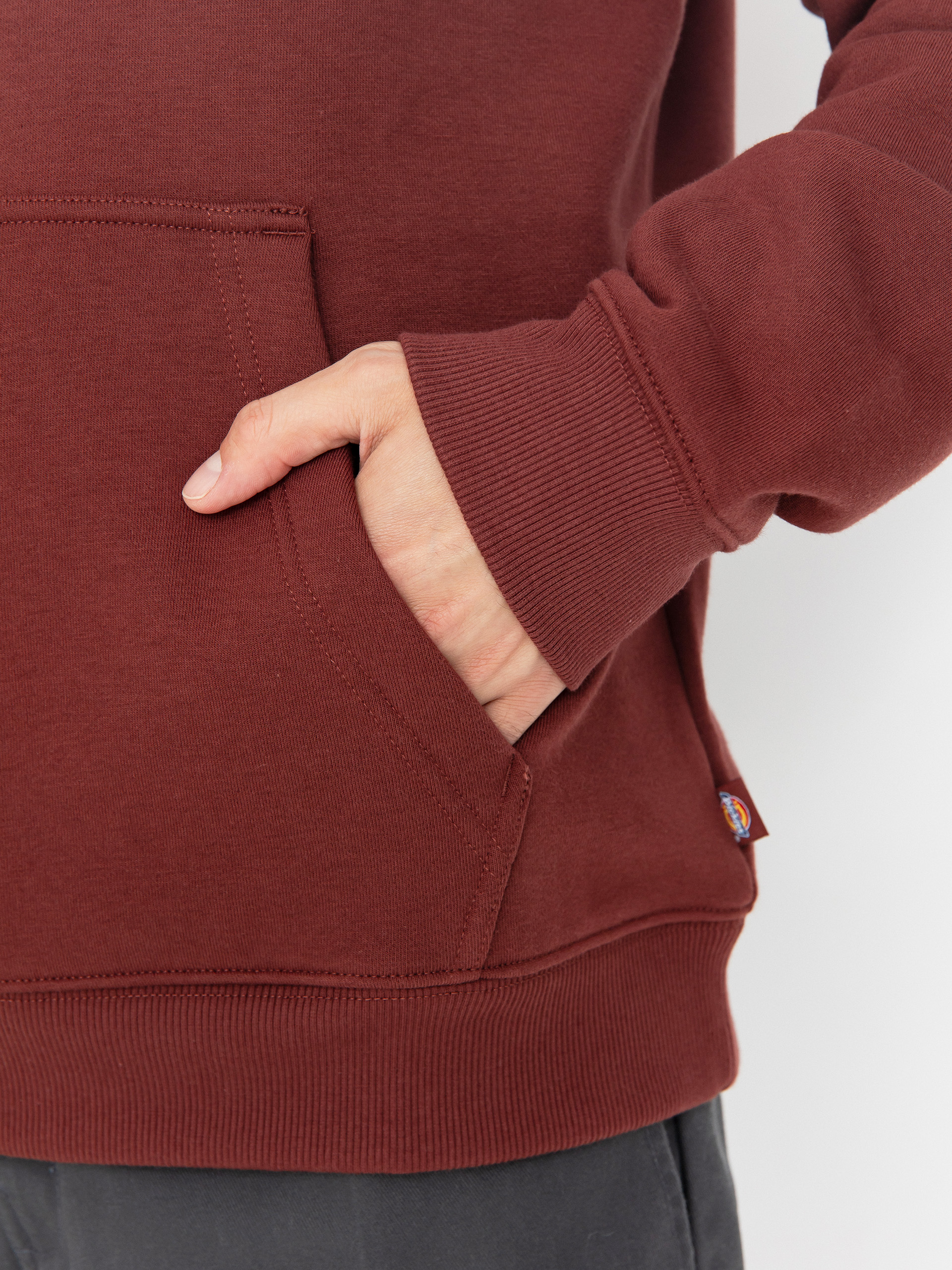 Hanorac cu glugă Dickies Oakport HD (andorra)