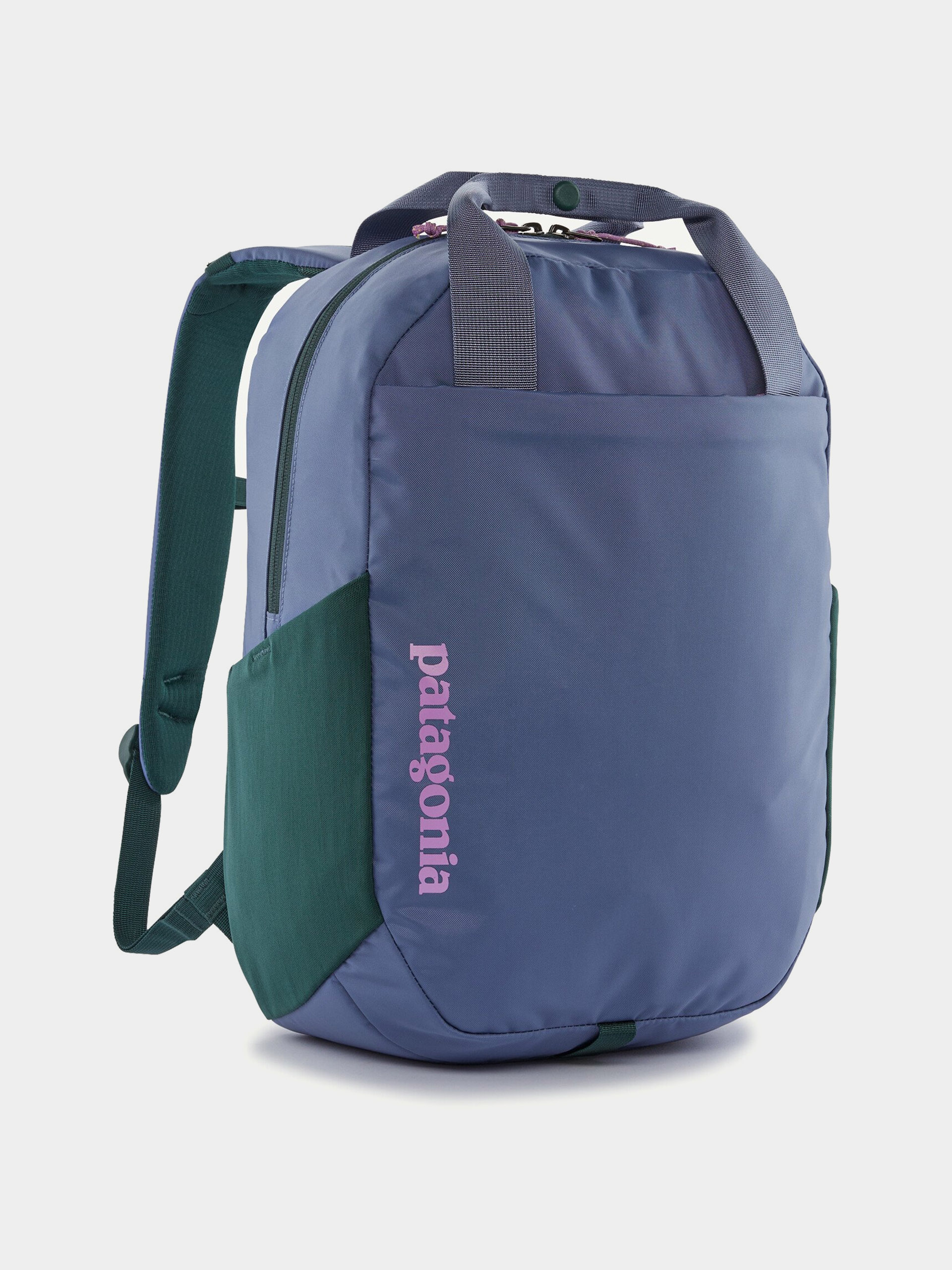 Rucsac Patagonia Atom Tote Pack 20L