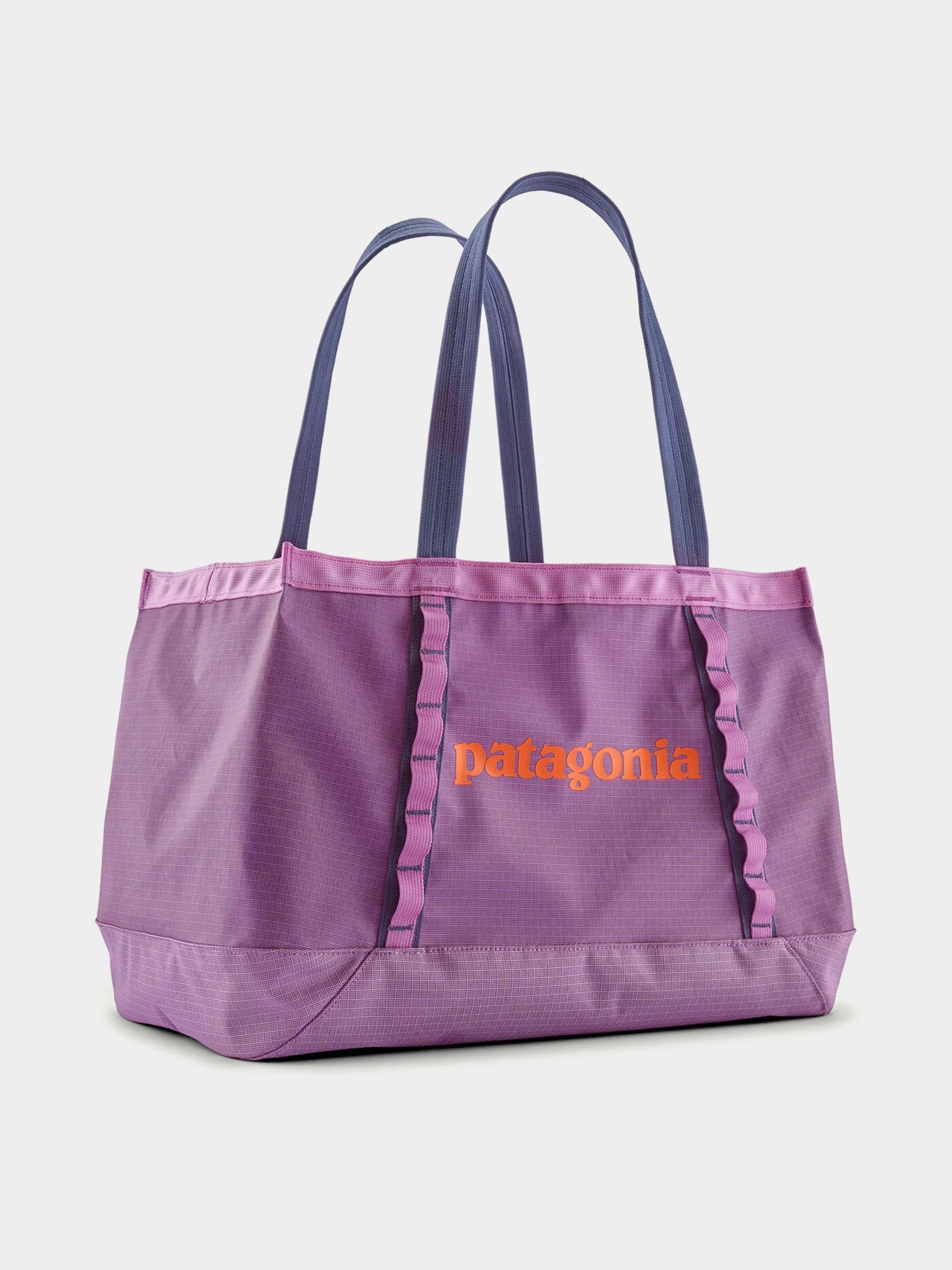 Geantu0103 Patagonia Black Hole Tote 25L (brisk purple)