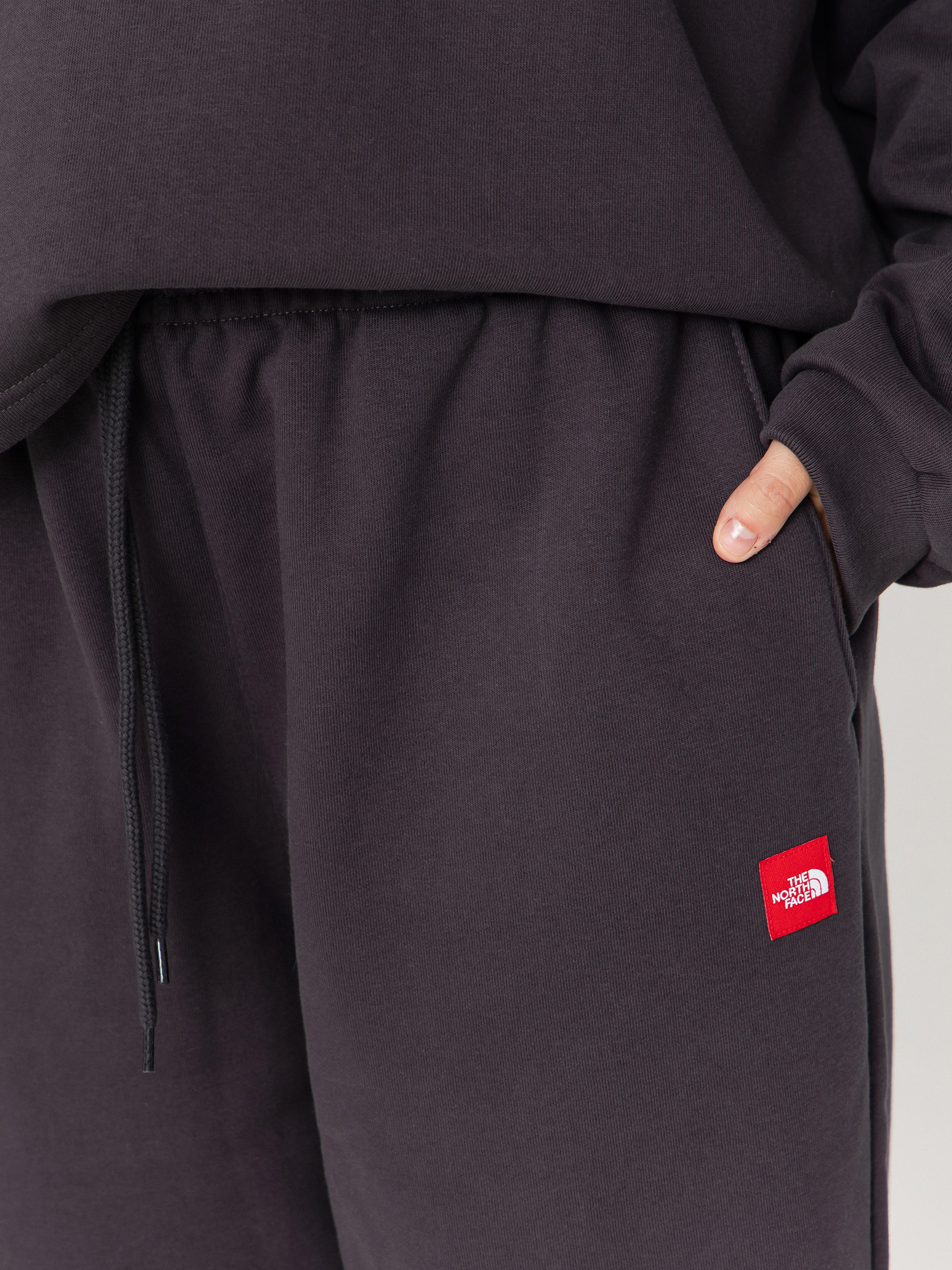 Pantaloni The North Face Red Box (obsidian)