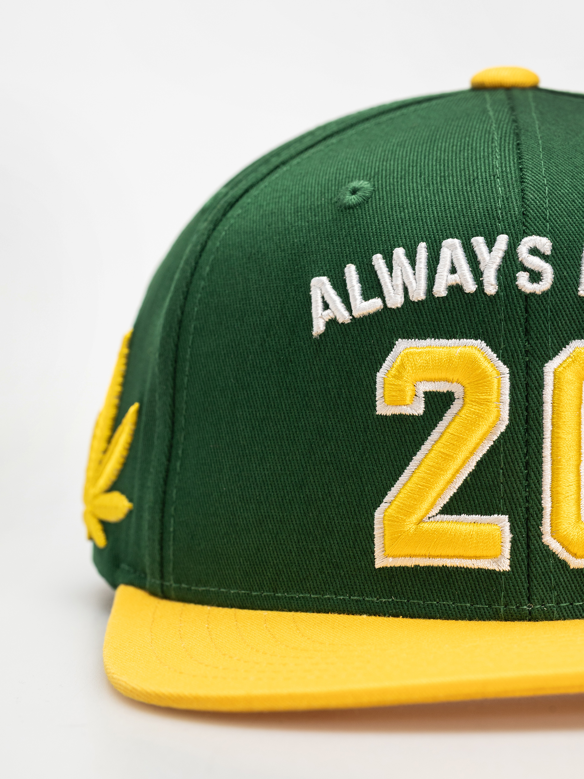 Șapcă DGK Team Indica Snap (green)