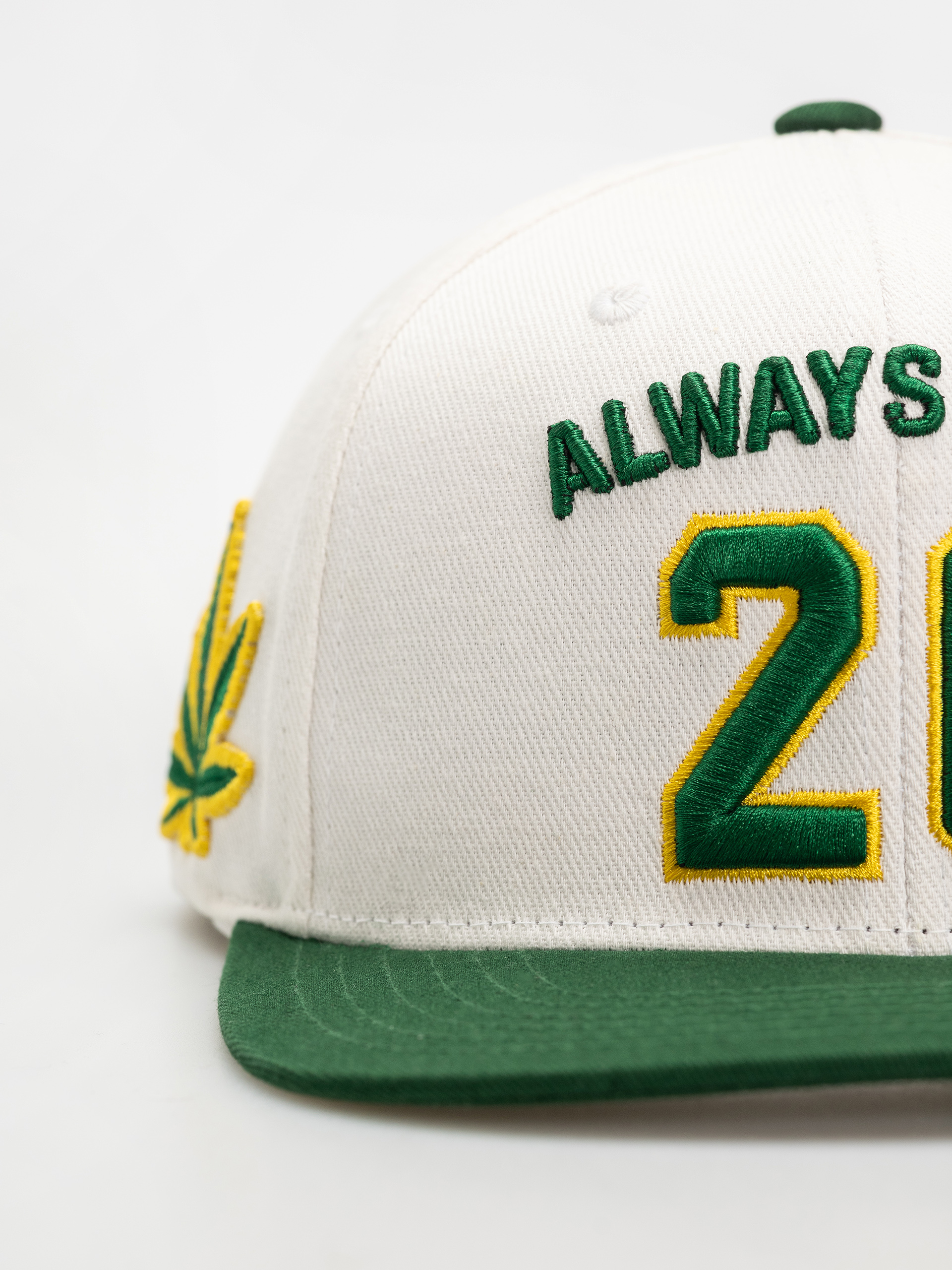 Șapcă DGK Team Indica Snap (white)