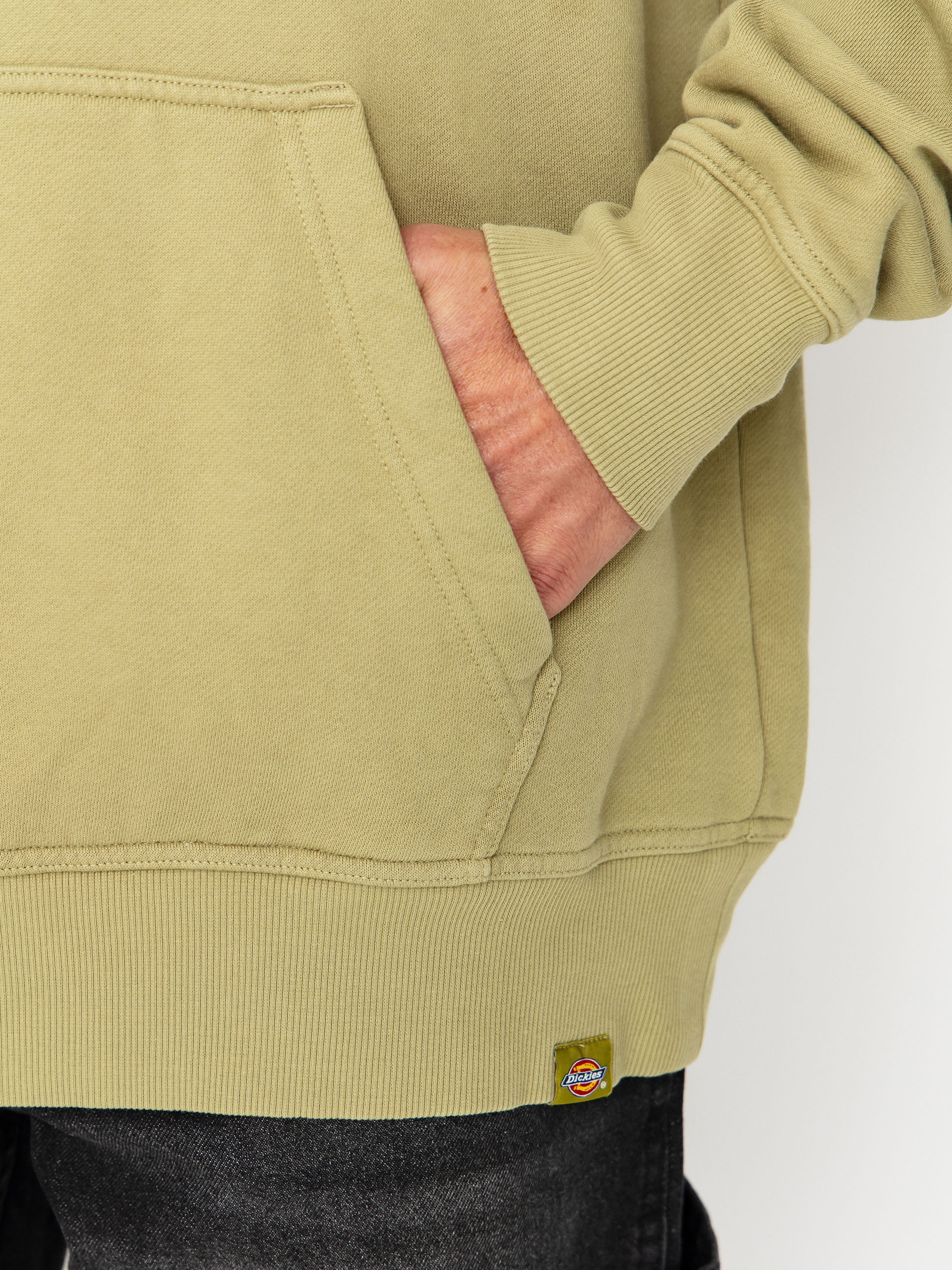 Hanorac cu glugă Dickies Plentywood HD (evergreen sprig)