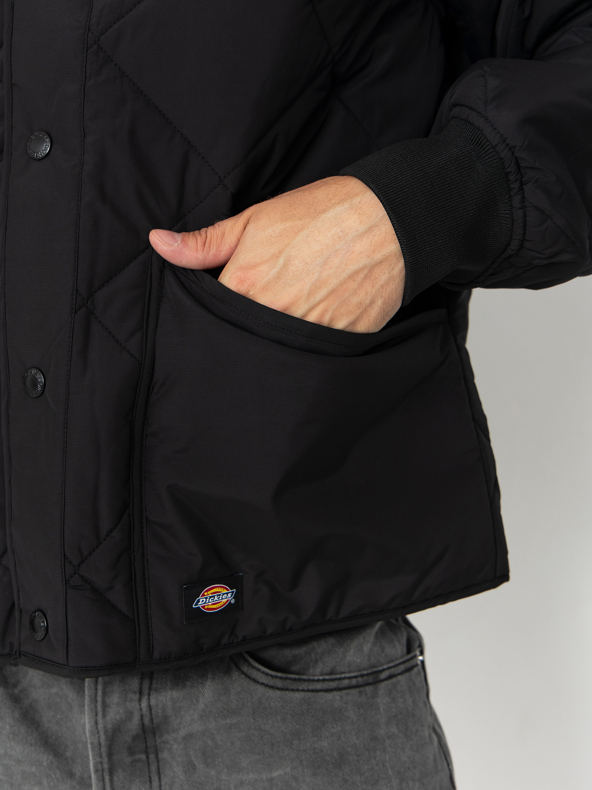 Geacă Dickies Samburg Liner (black)