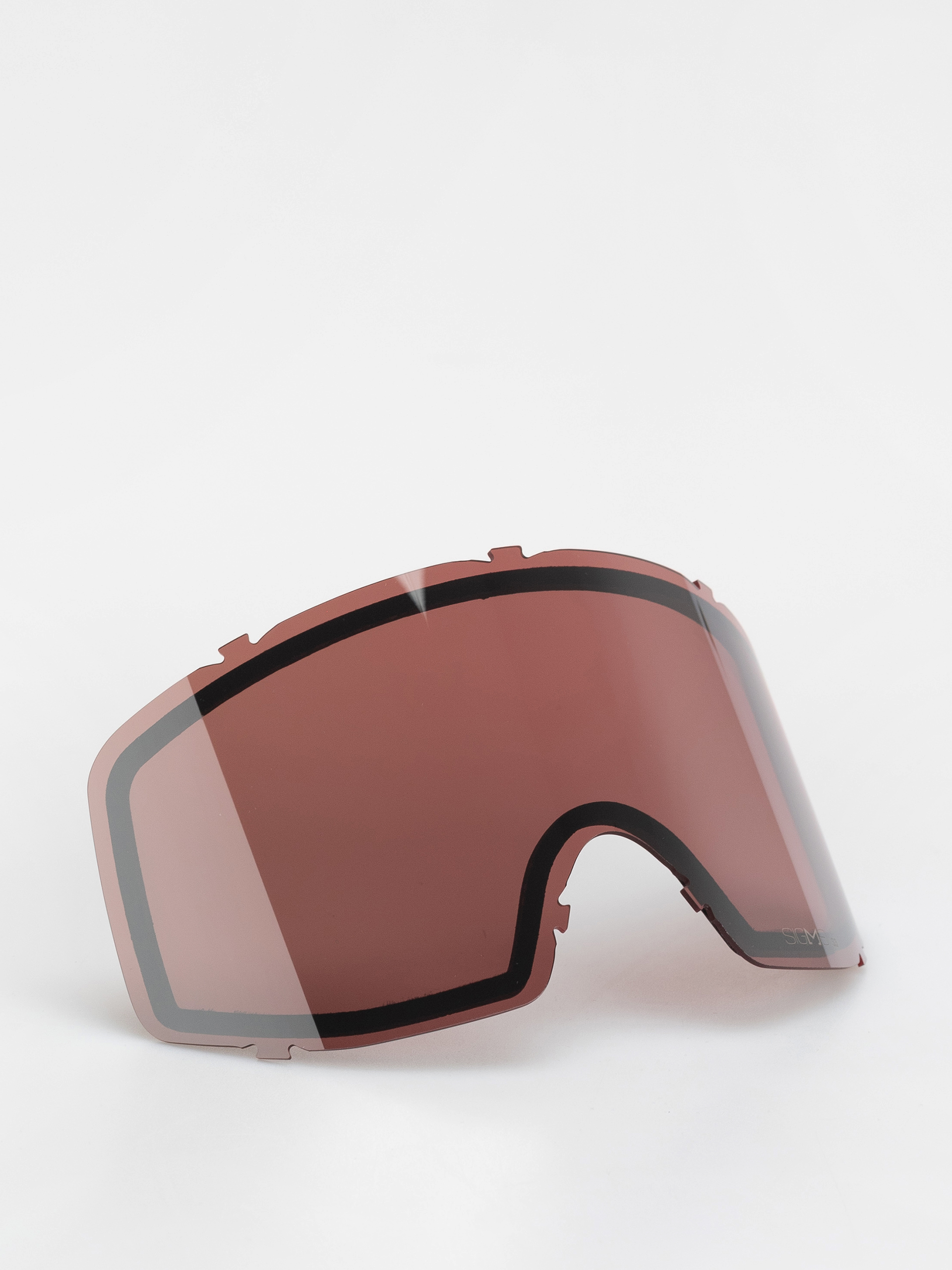 Ochelari pentru snowboard Salomon Sentry Pro Sigma (bk echo/sp/gm)