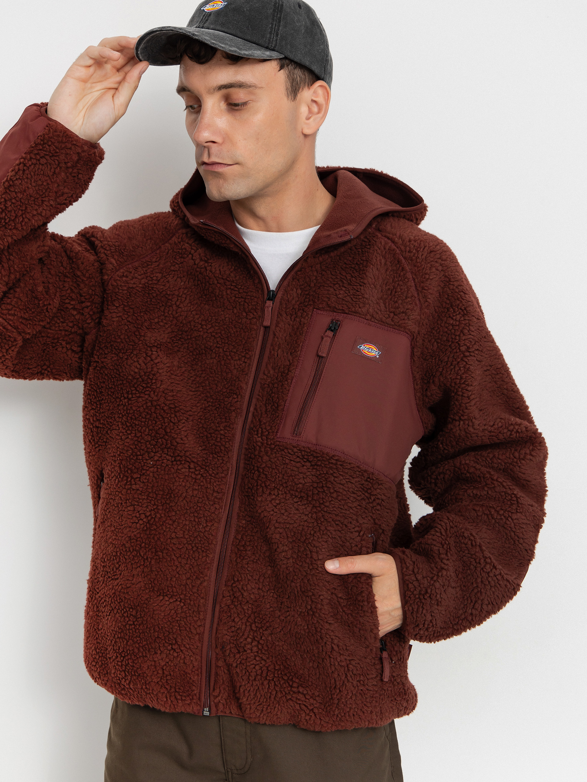 Hanorac din fleece Dickies Central High Pile (andorra)