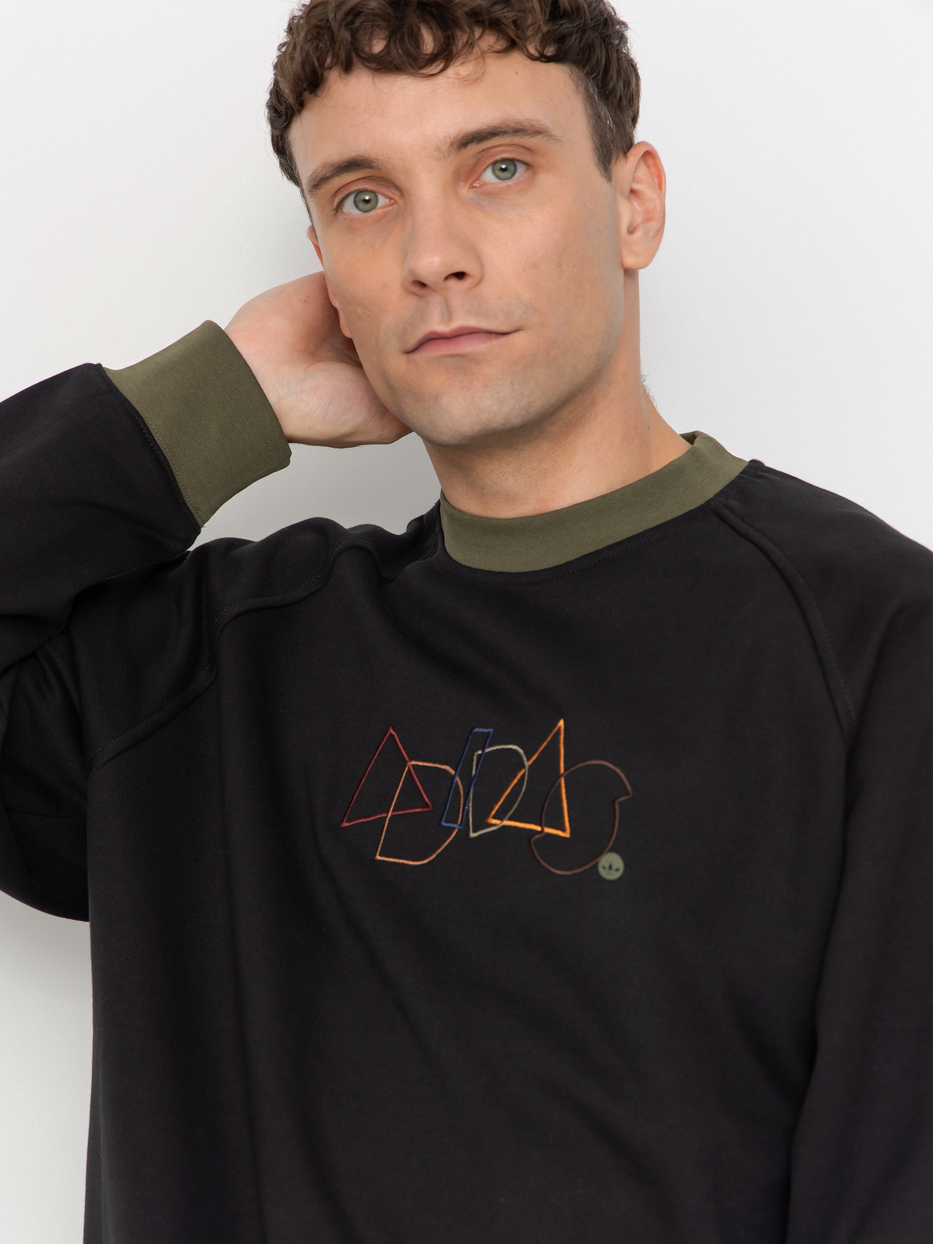 Hanorac adidas Skate Geo Crew (black)