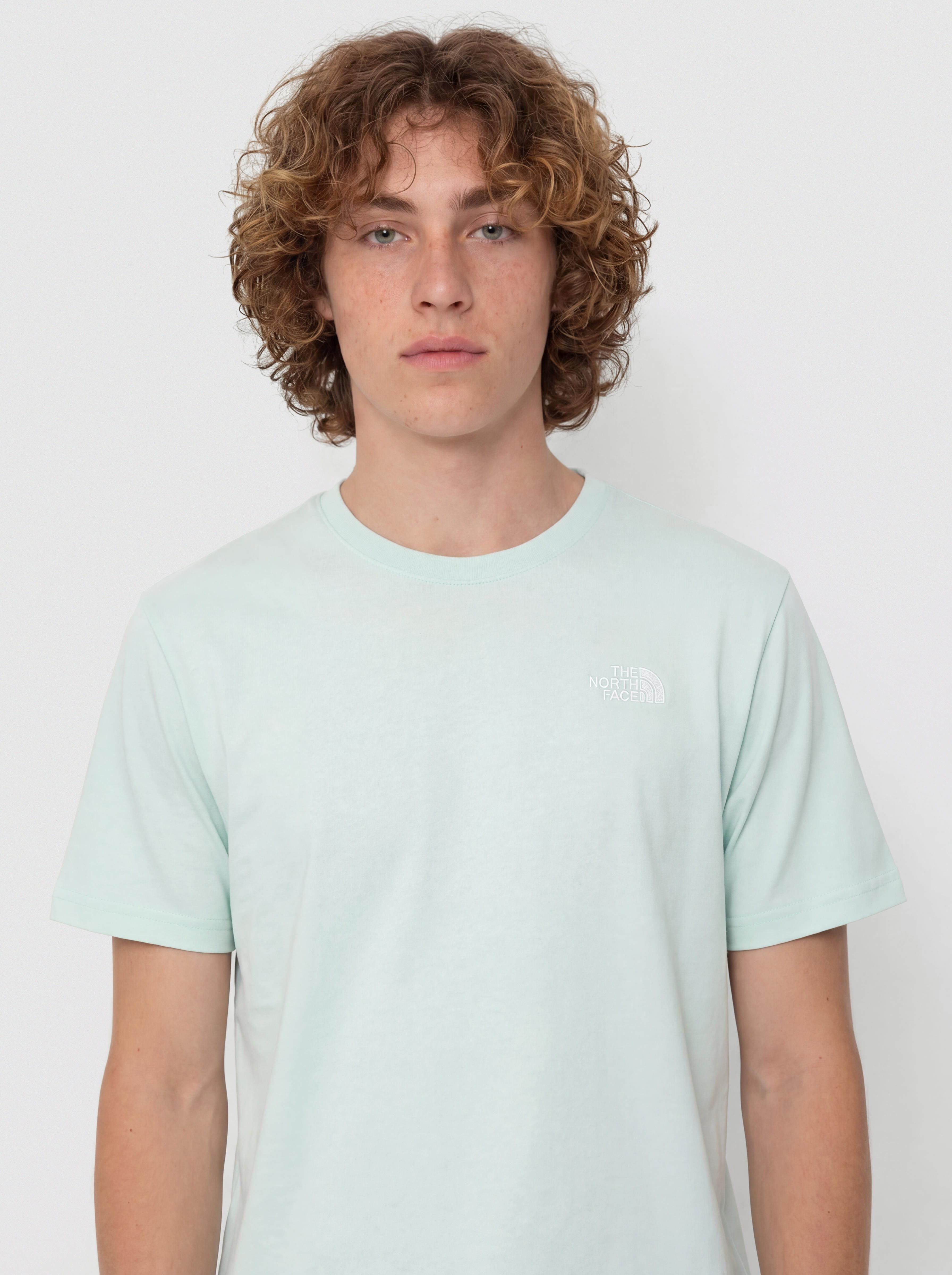 Tricou The North Face Evolution Simple Dome (opal frost)