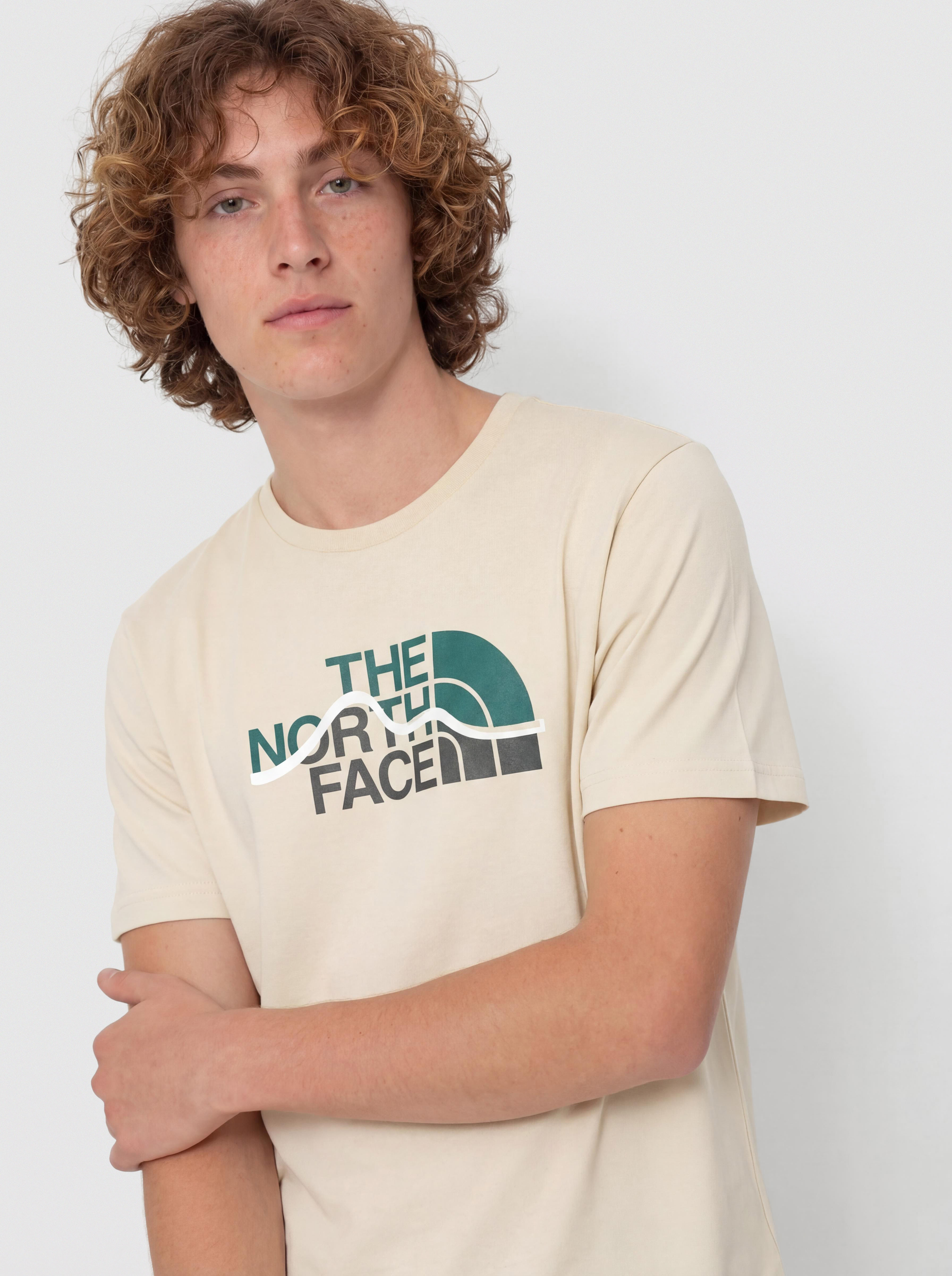 Tricou The North Face Mountain Line (gravel)