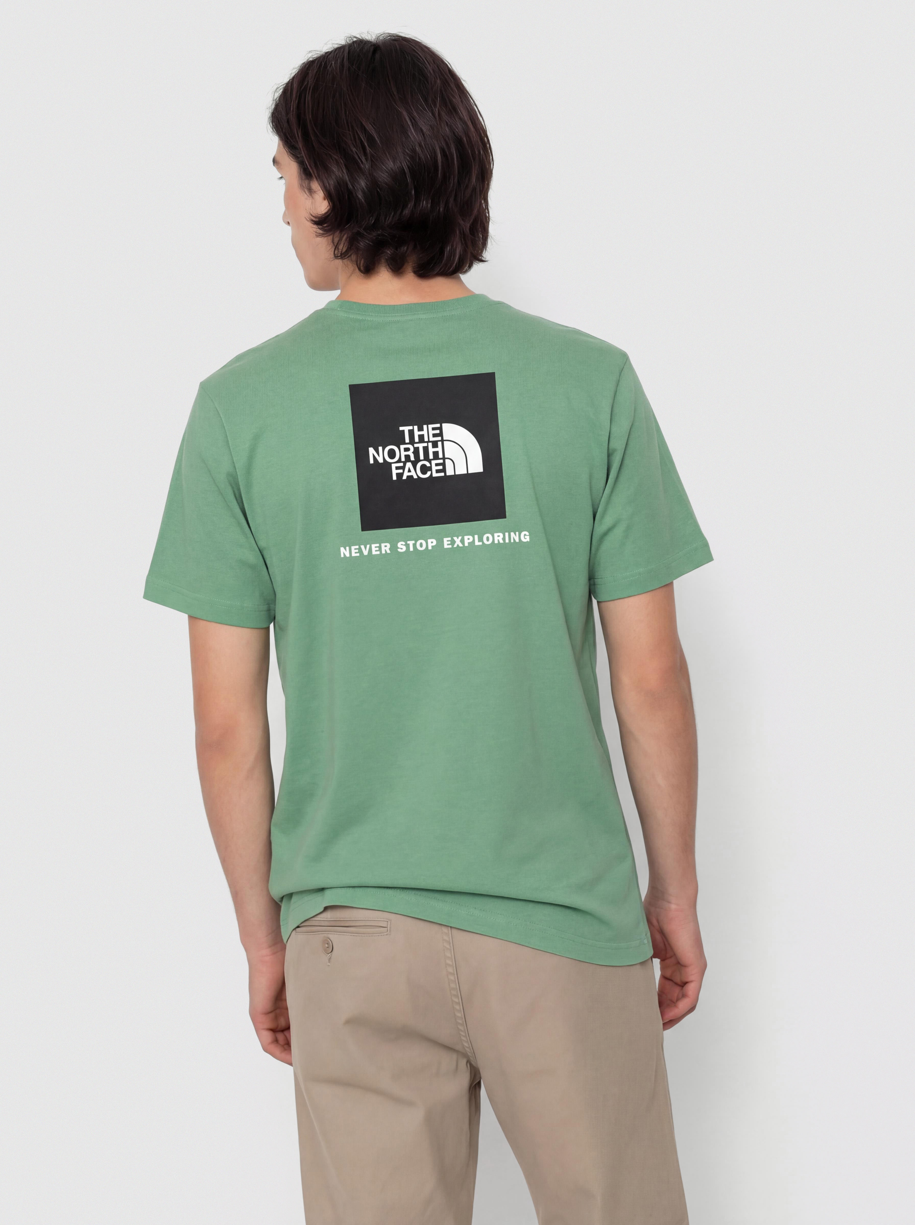 Tricou The North Face Evolution Box Nse (dimmed algae)