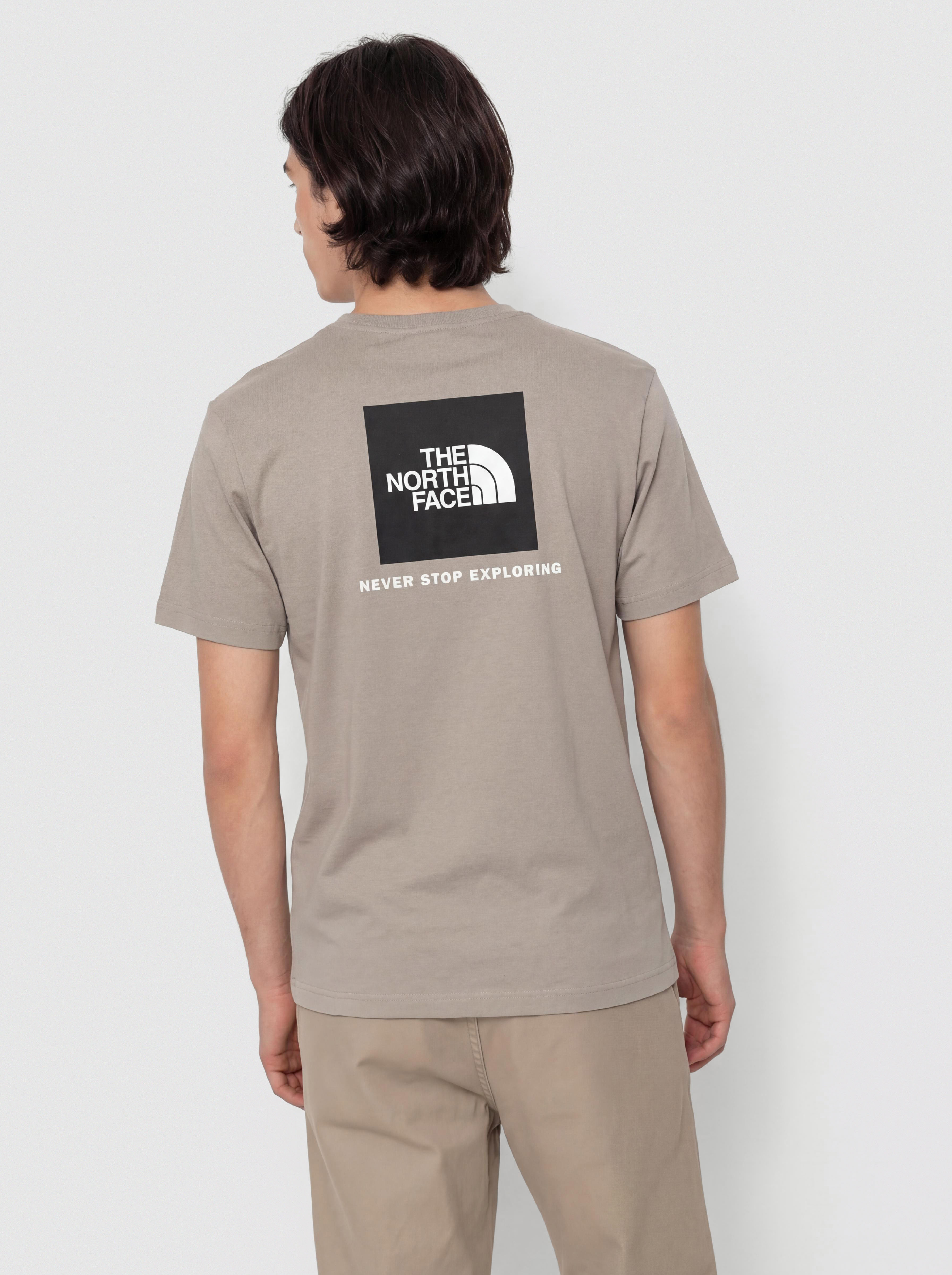 Tricou The North Face Evolution Box Nse (stone slab)