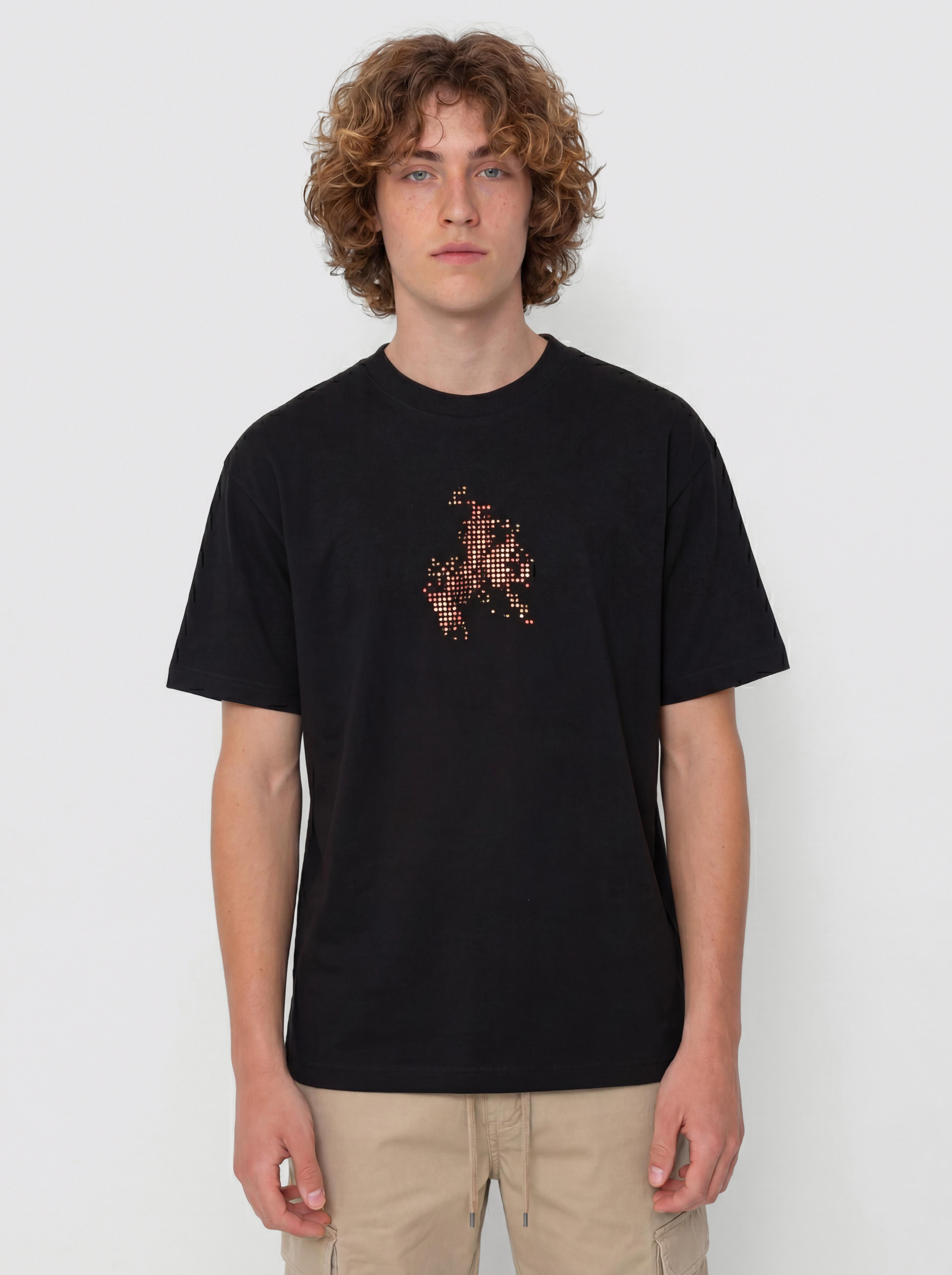 Tricou Vans Skate Flame (black)