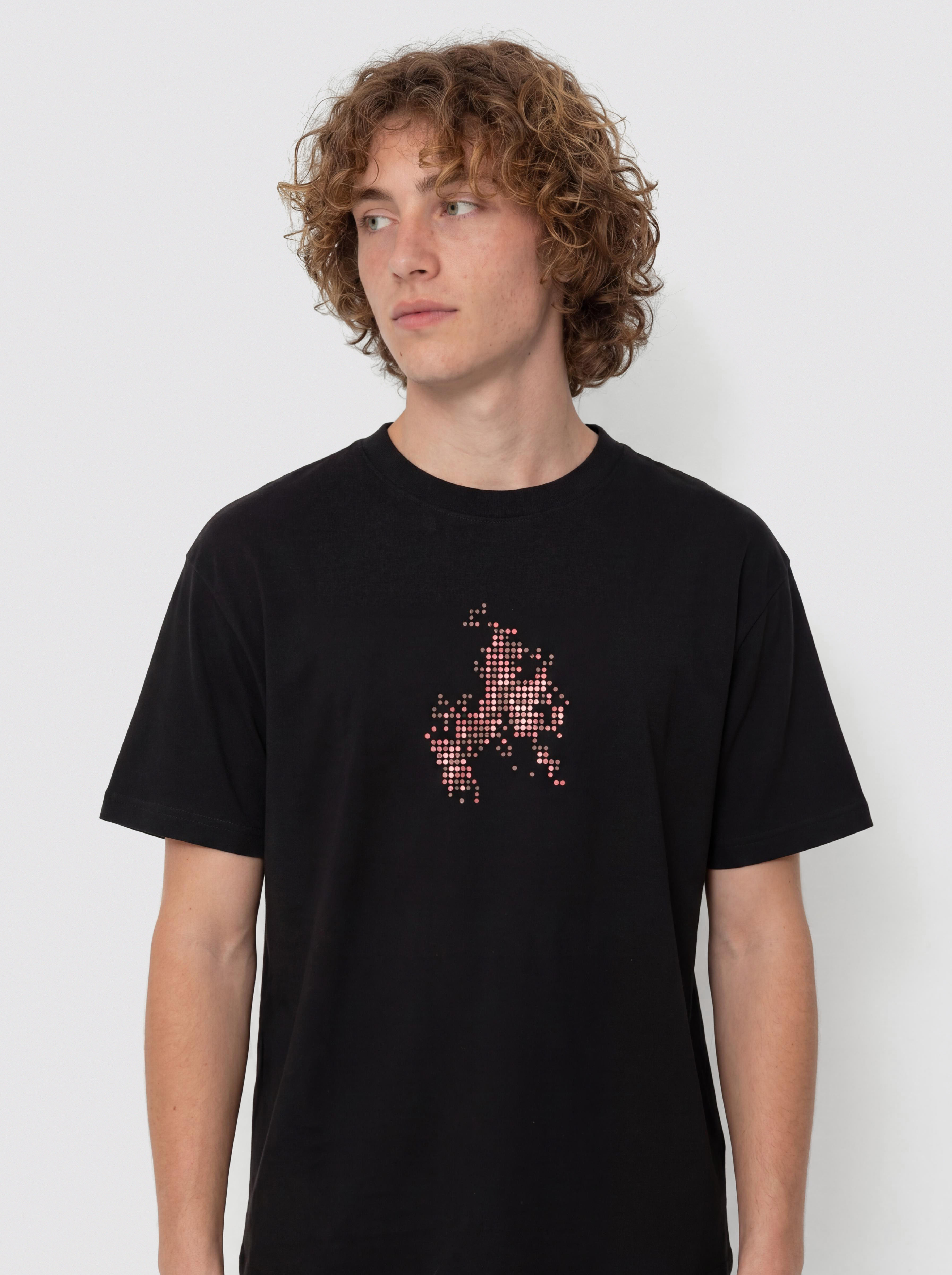 Tricou Vans Skate Flame (black)