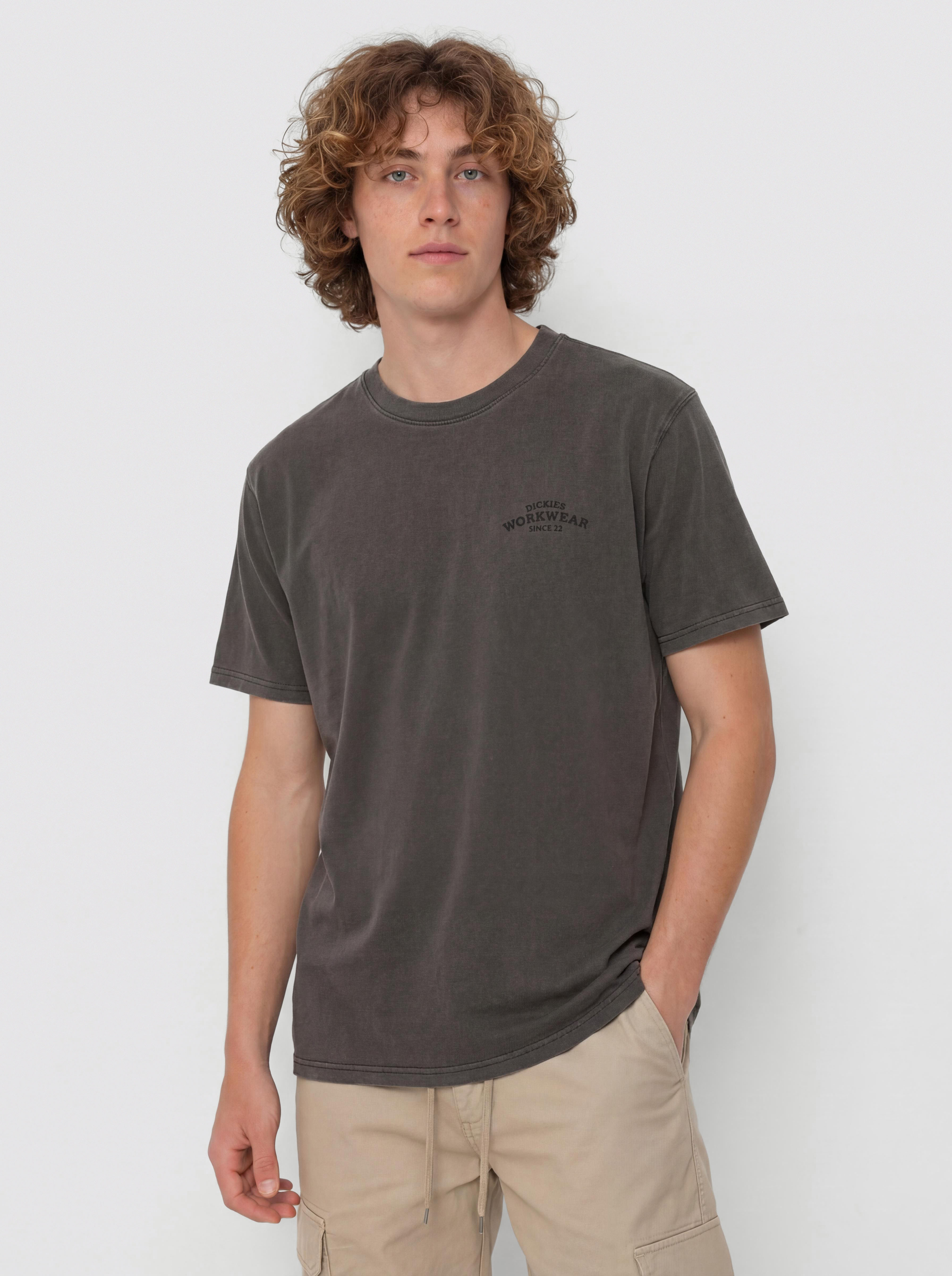 Tricou Dickies Christiana (black)