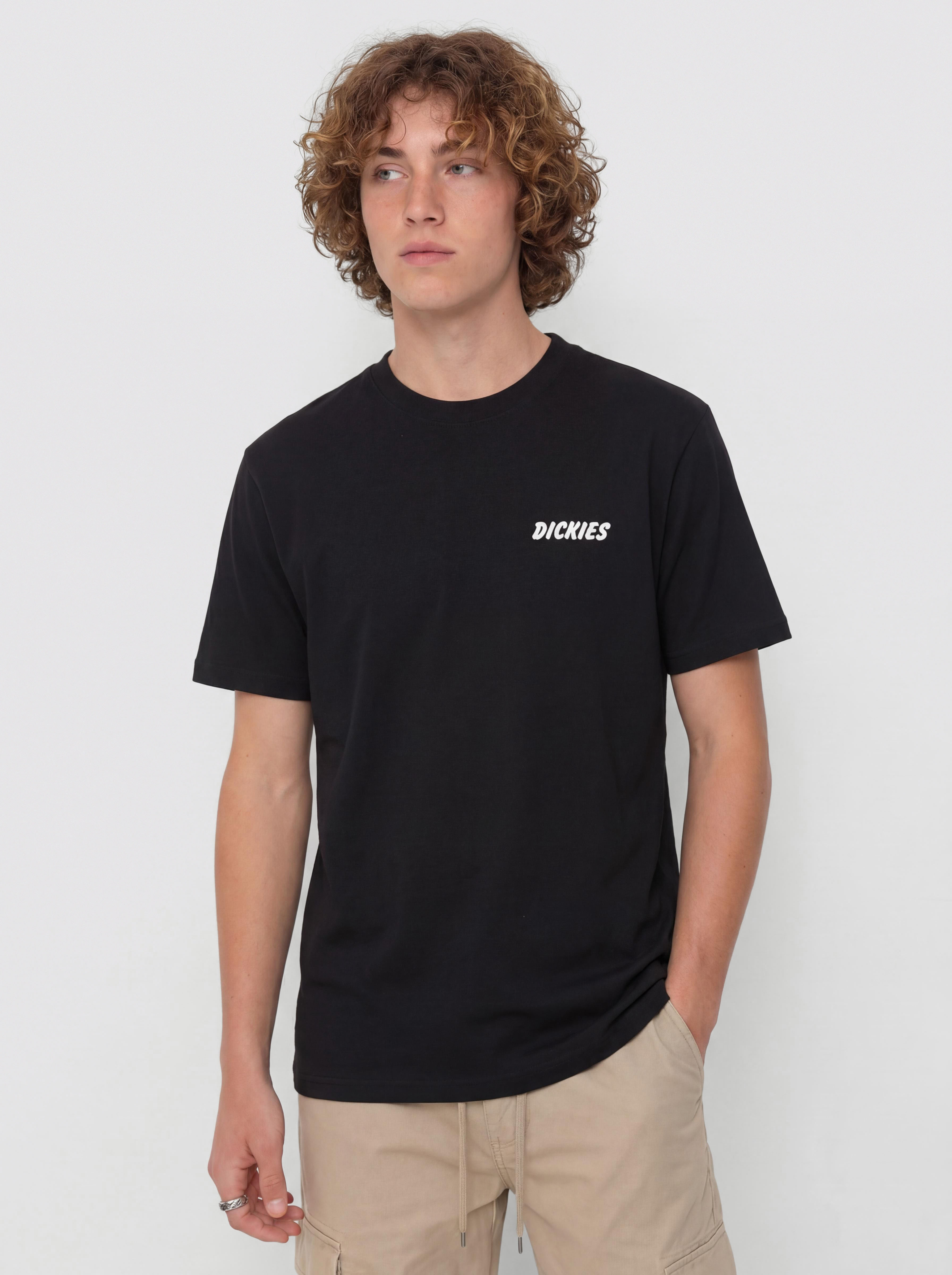 Tricou Dickies Dry Ridge (black)