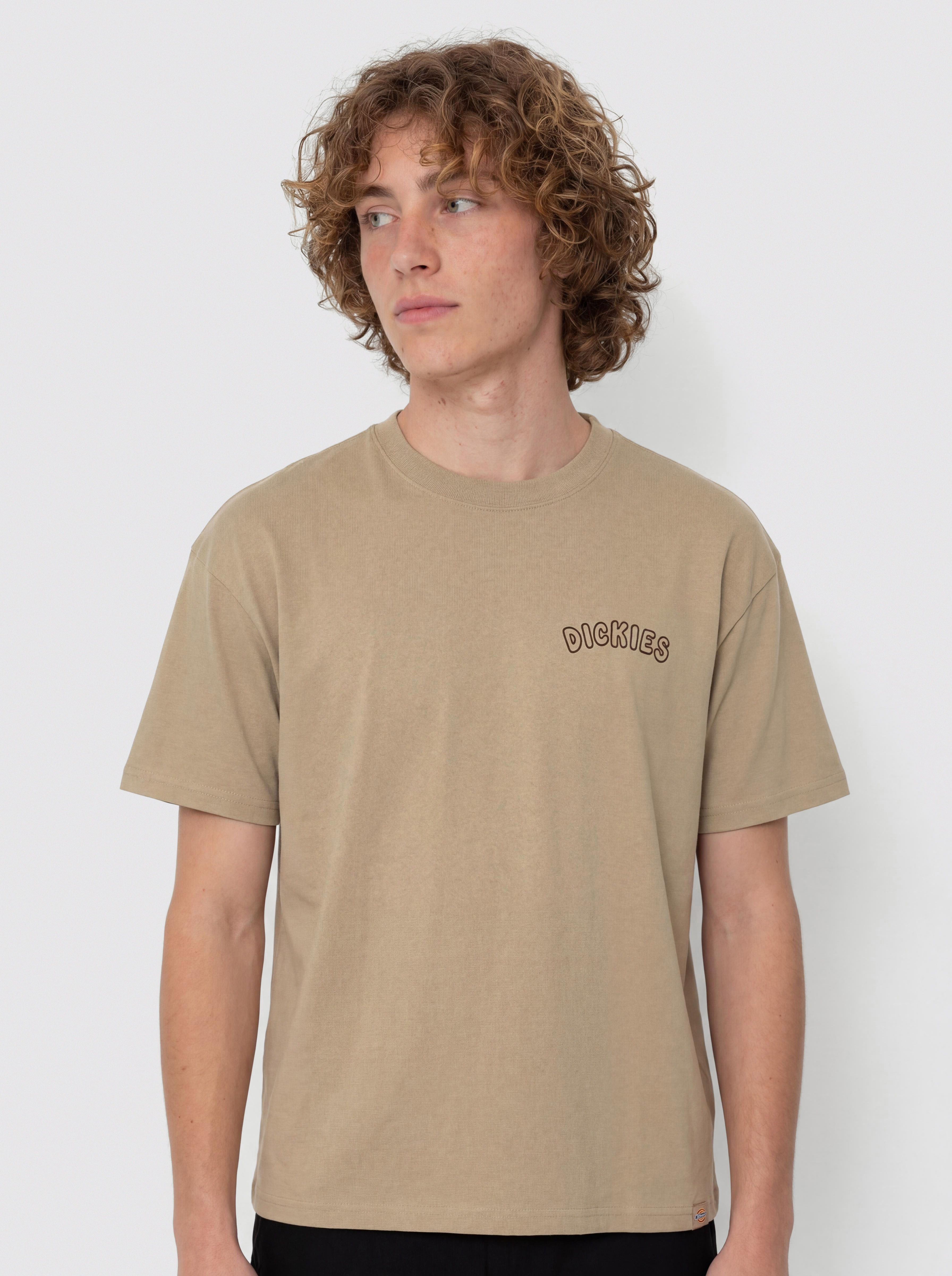 Tricou Dickies Decartuville