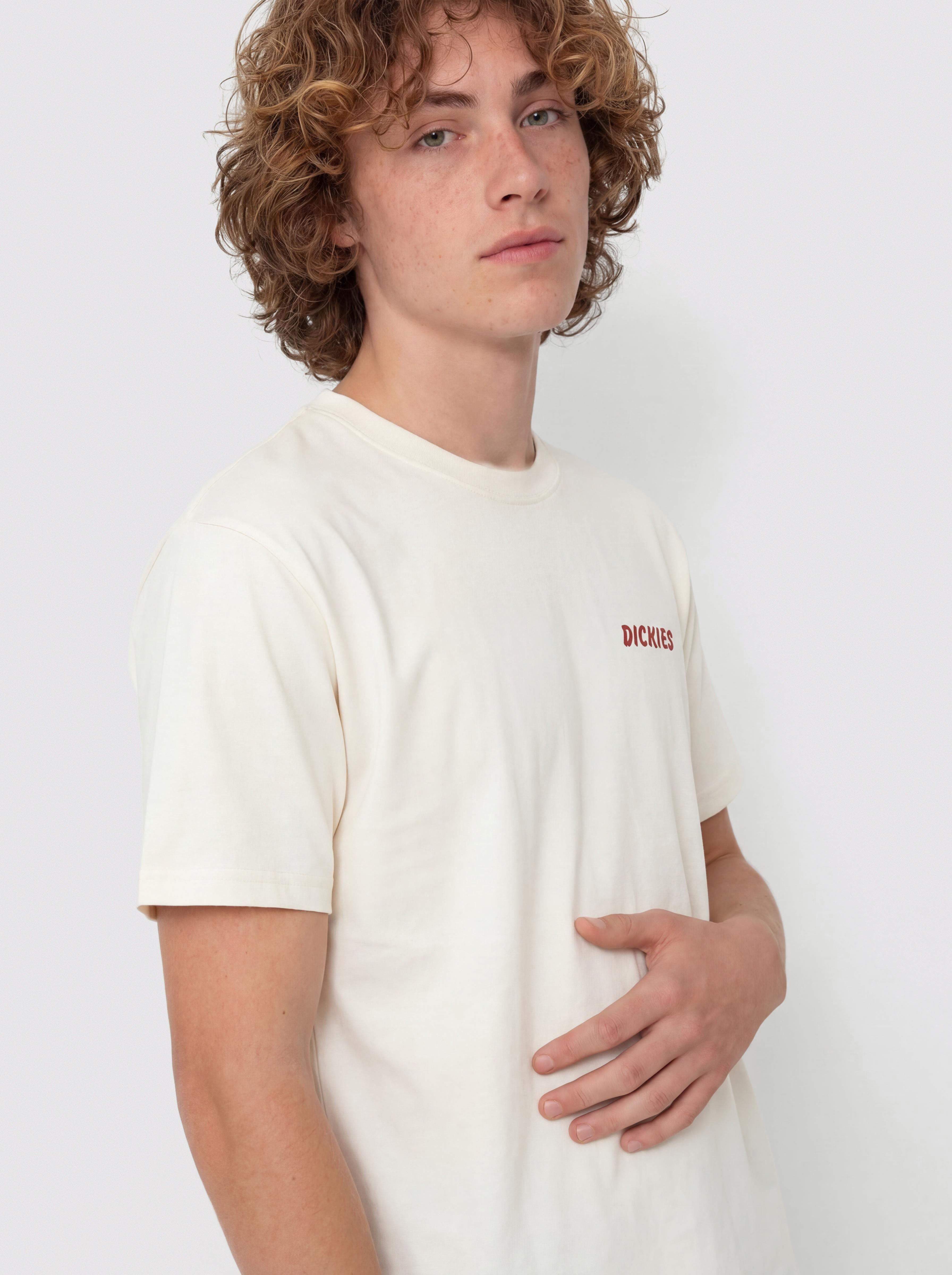Tricou Dickies Dry Ridge (egret)