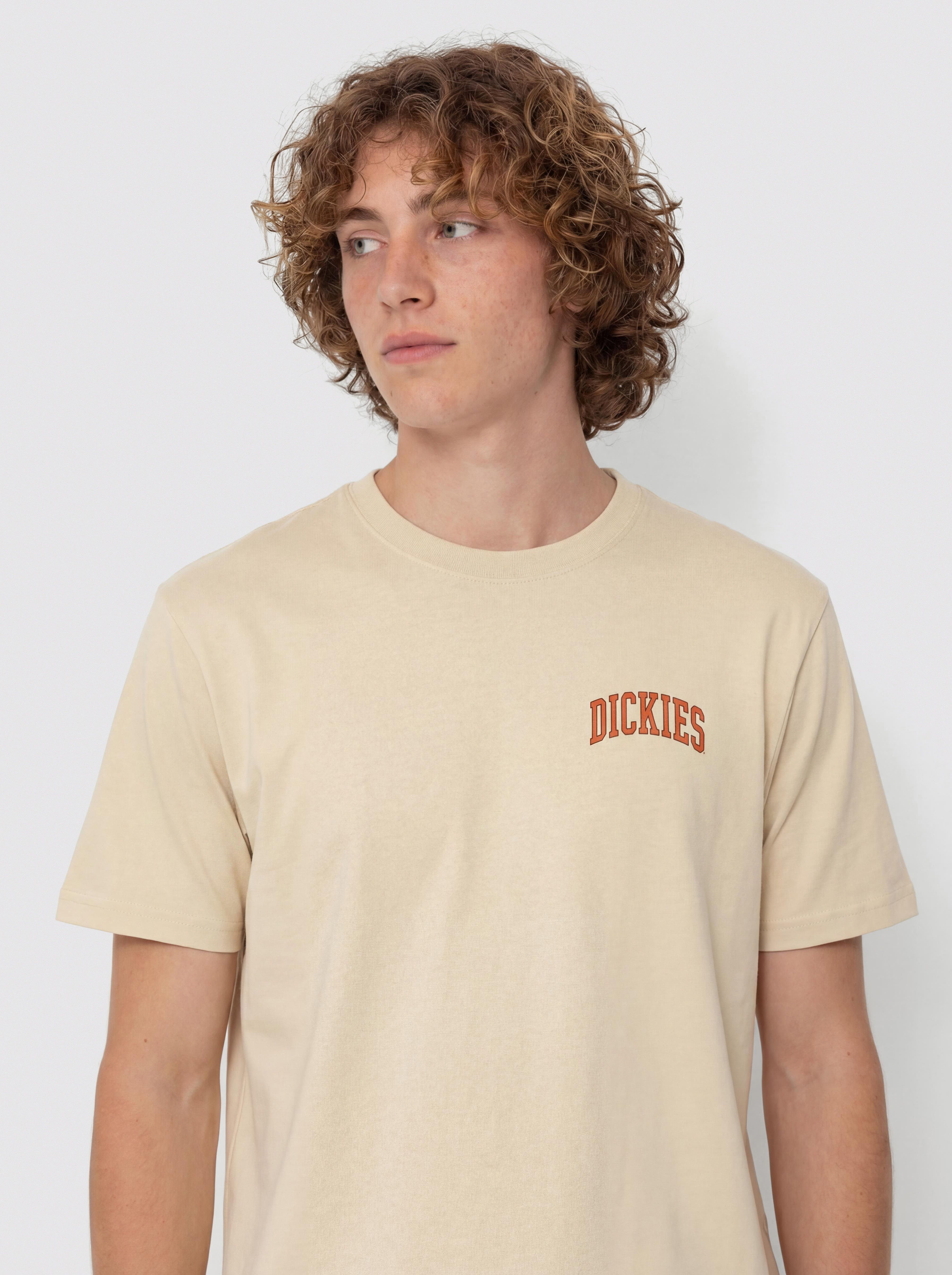 Tricou Dickies Aitkin Chest